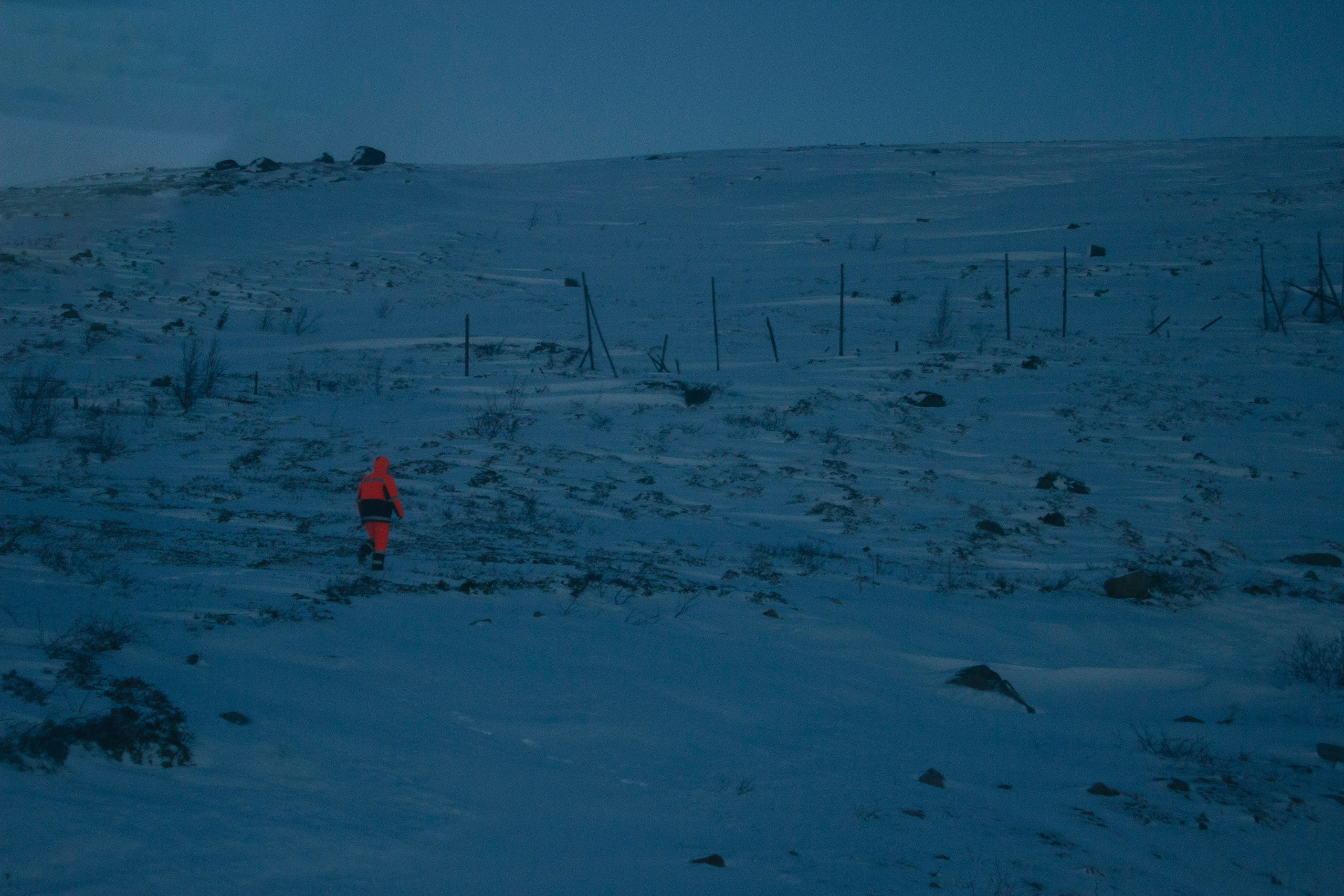 На севере жить. Пейзажная фотография. Репортажная и портретная фотосъёмка