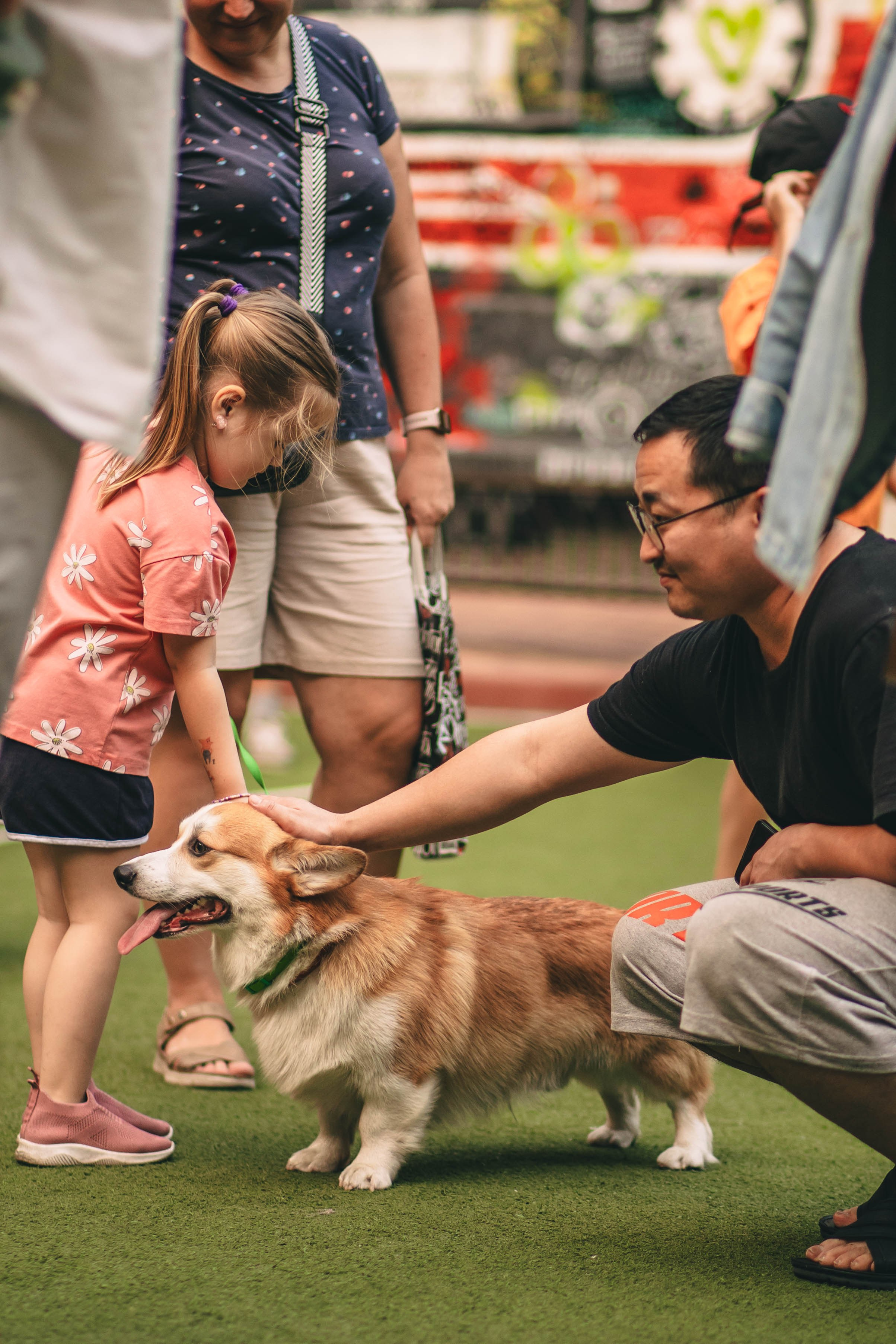 Pet-Party + Live-music |Парк Культуры. Фотограф в Ставрополе Алина Клочкова