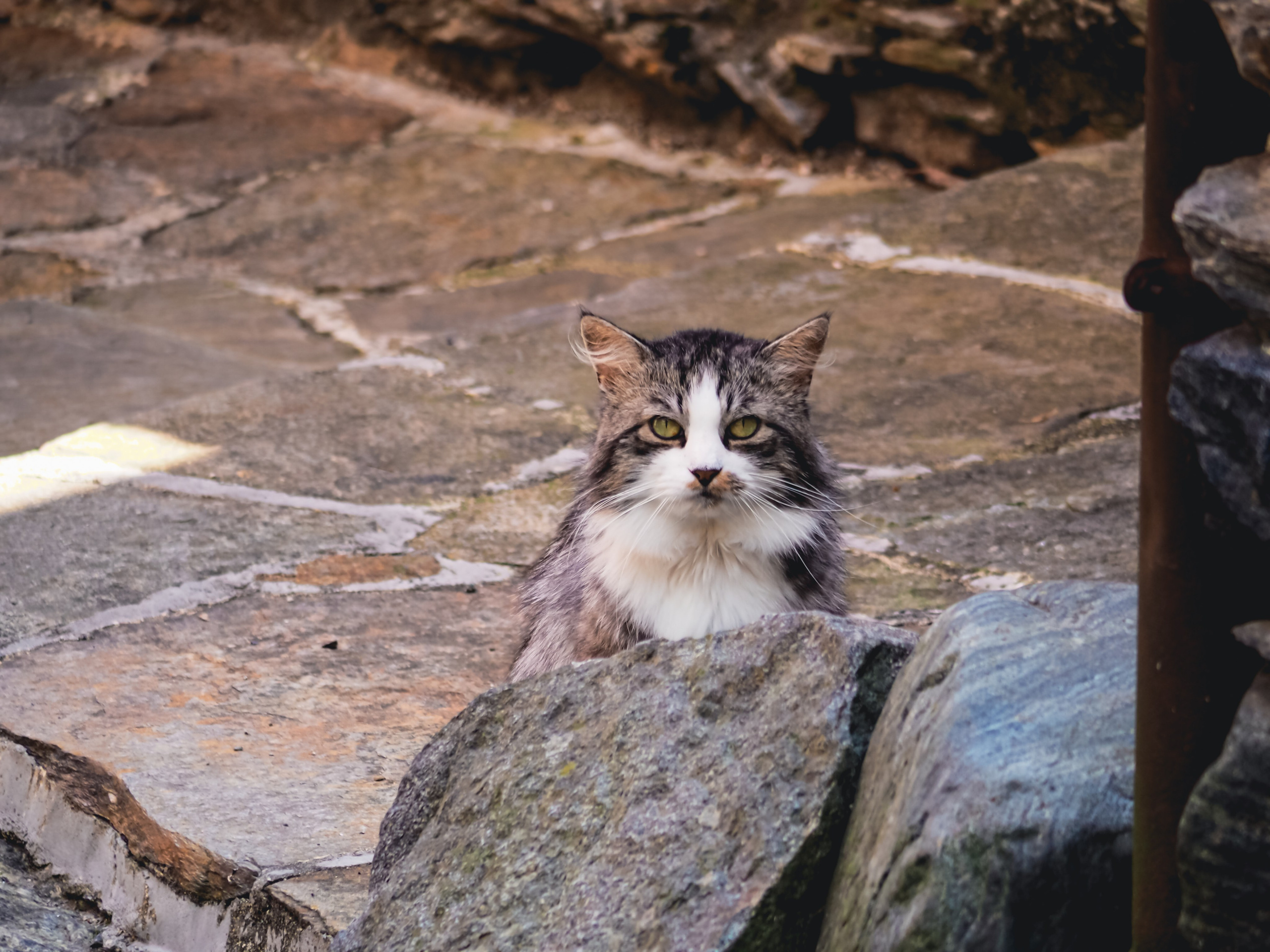 Маджоре. Италия. Репортажный фотограф в Берлине Александра Герман