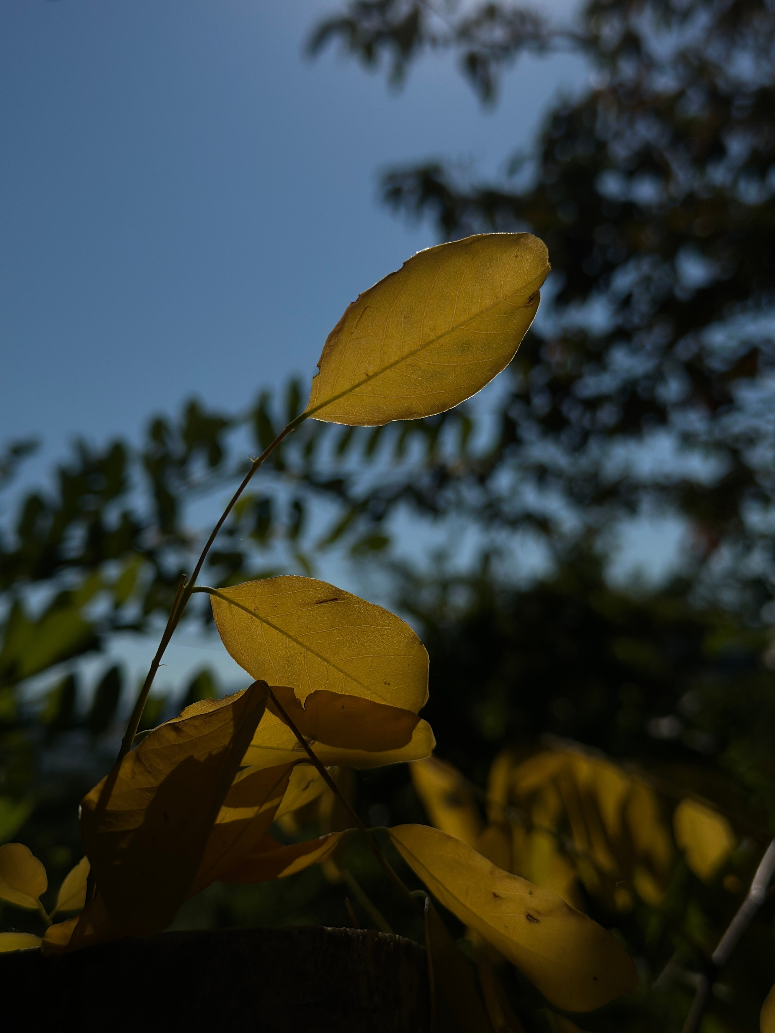 Флора и фауна. Смотри, красота!