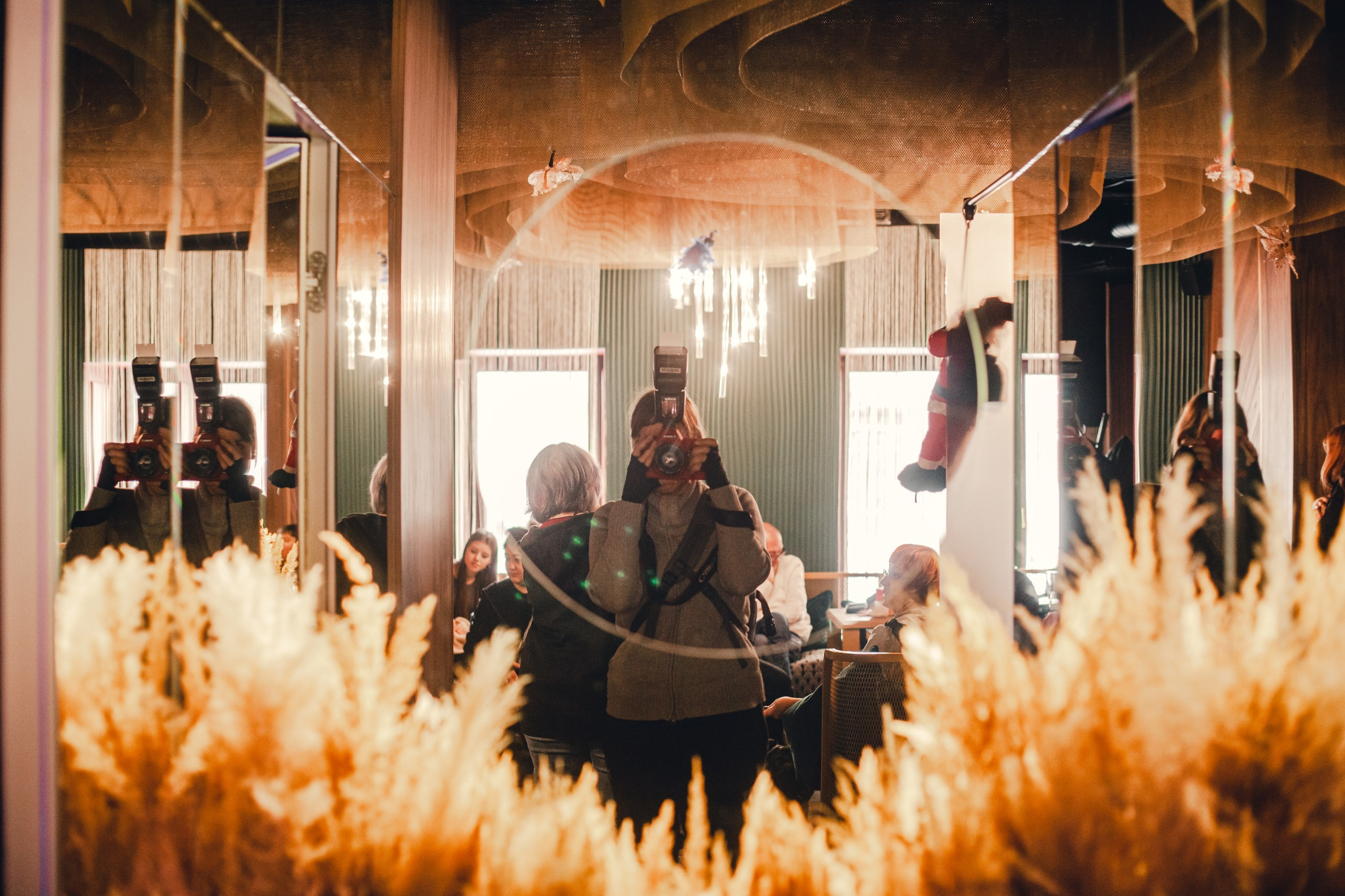 Мопсовстреча 02.12.2023. Фотограф-анималист Татьяна Степанова