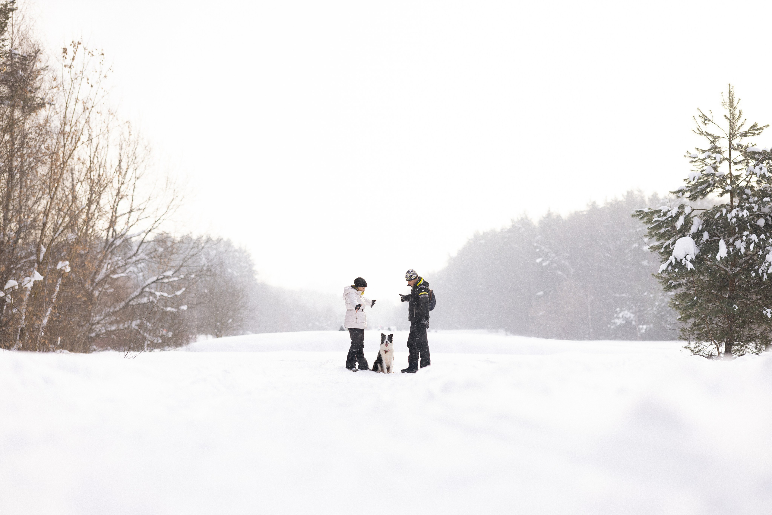 Лилия, Алексей и Ариана. Фотограф и видеограф анималист Аганина Дарья