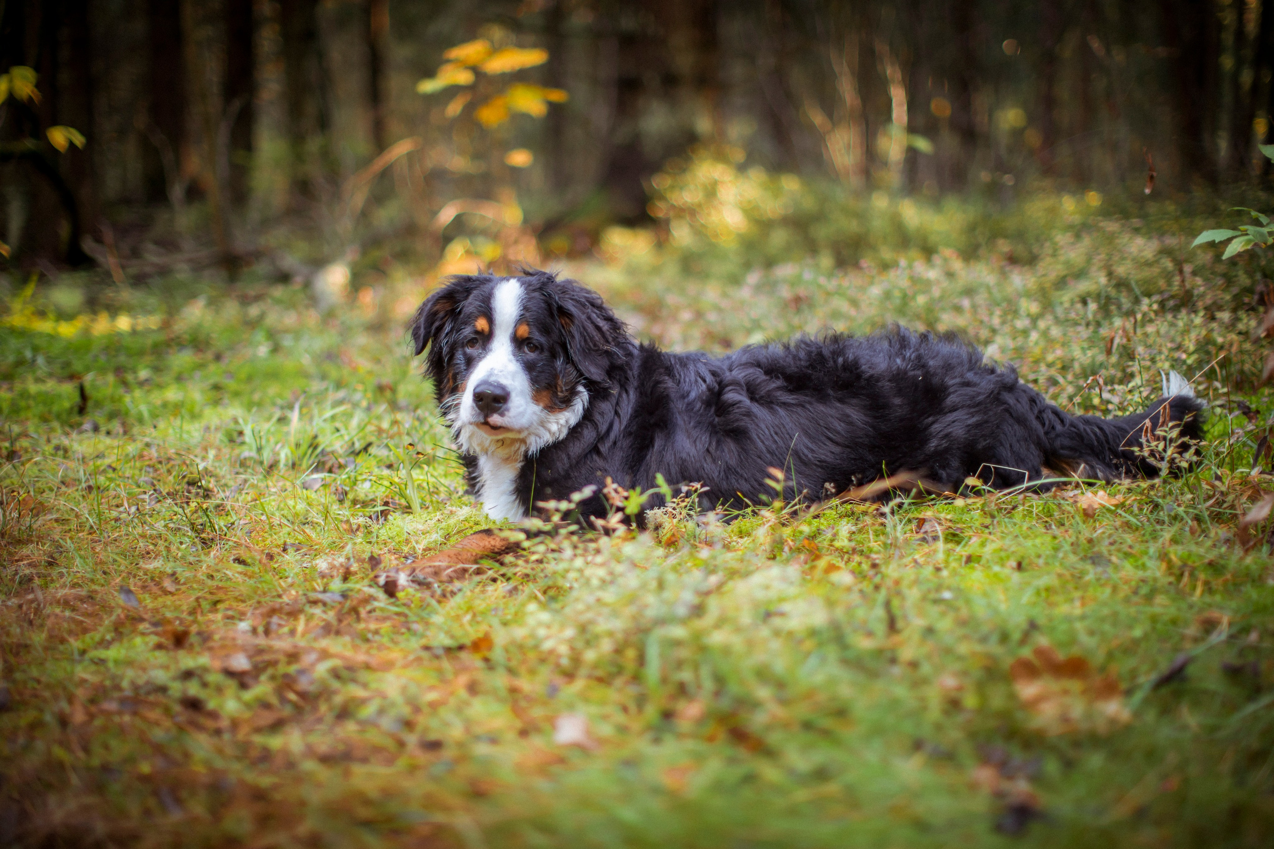 Прекрасная Вита. Фотограф Наталья Штукина
