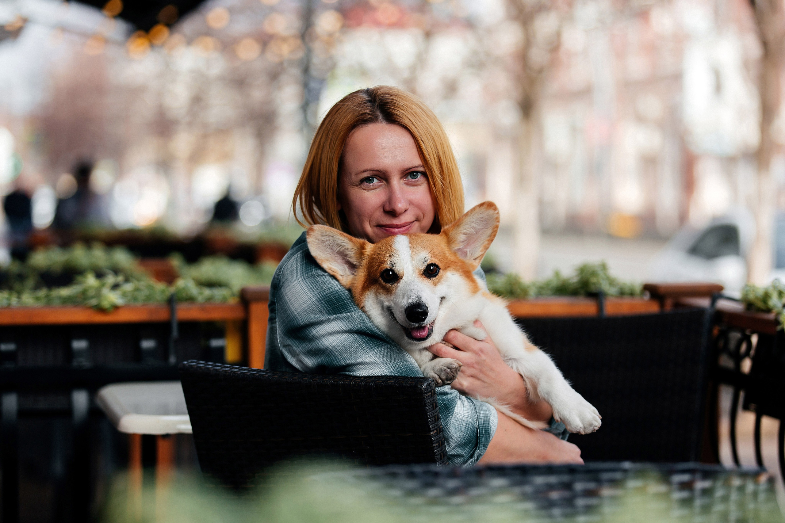 Фотосессия «Человек и собака». Фотограф-анималист в Краснодаре Маша Мельникова