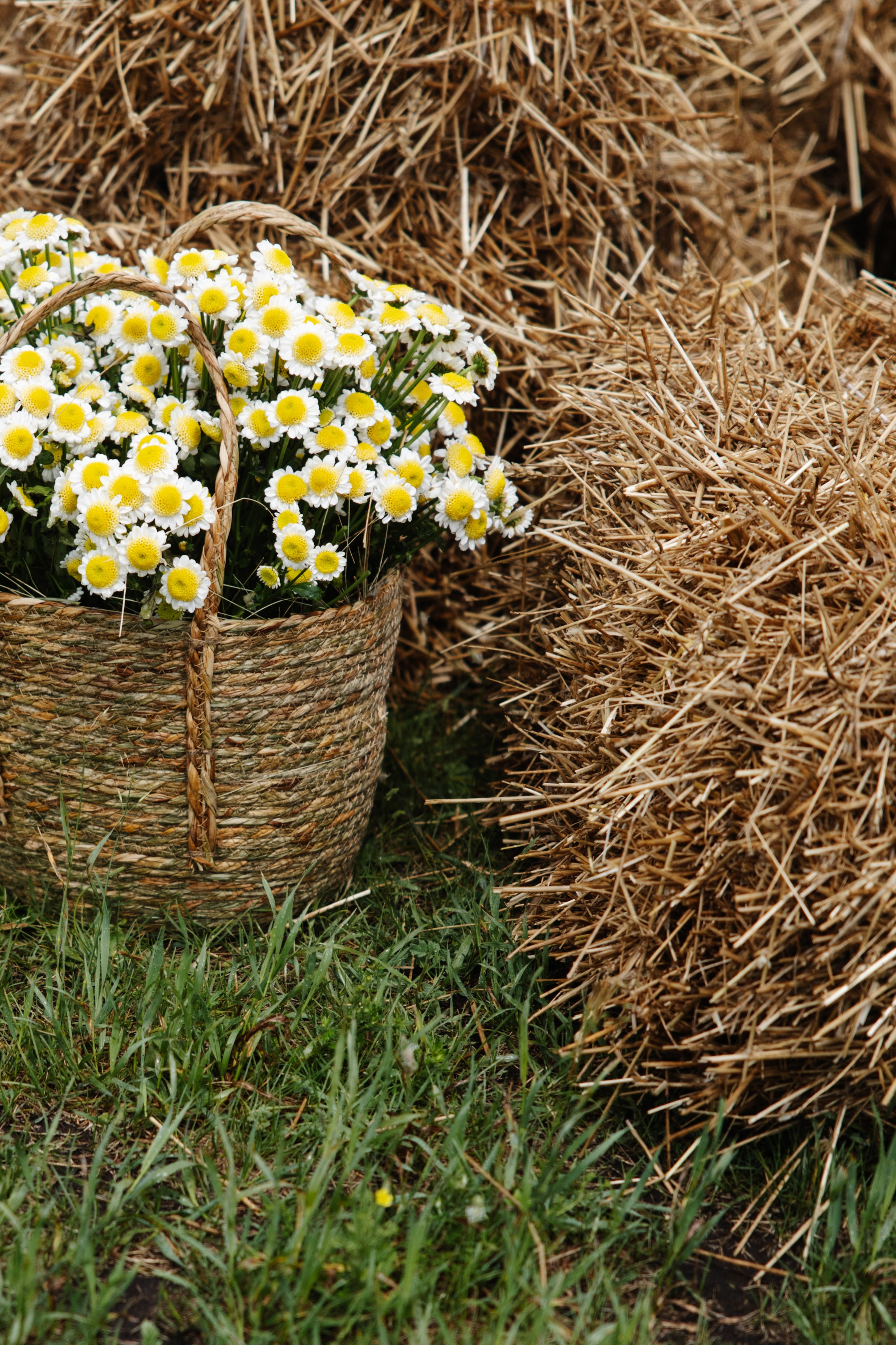 ГЕНДЕР ПАТИ. Фотограф в Красноярске
