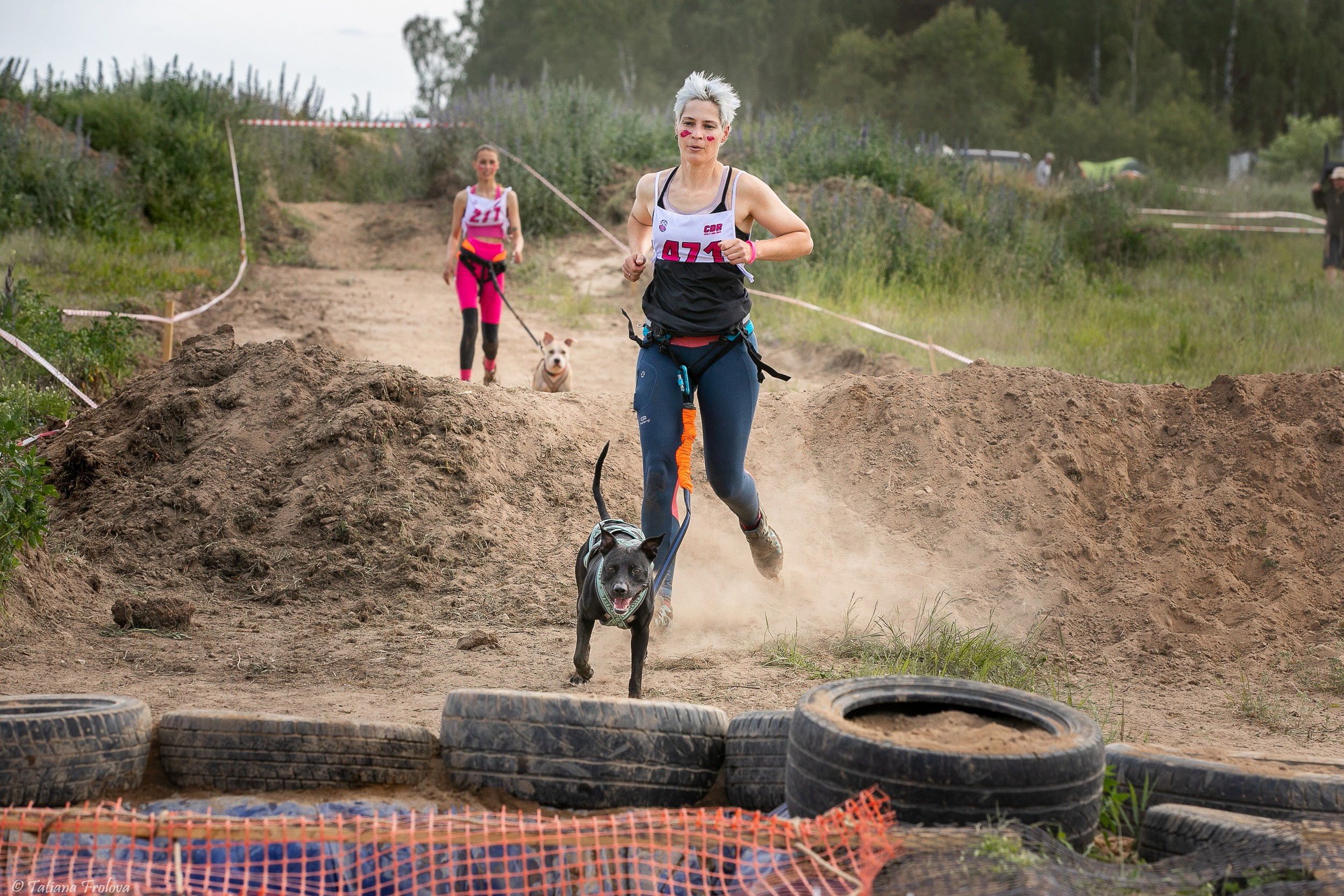 Фоторепортаж с забега с собаками. Фотограф-анималист в Москве и Московской области Татьяна Фролова