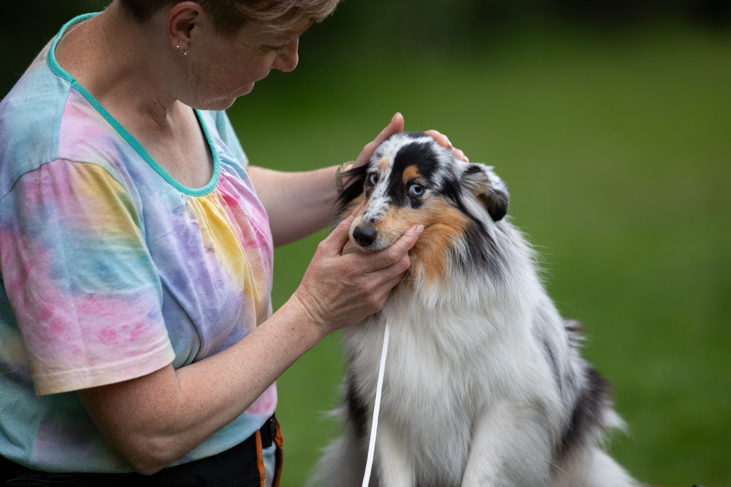 Репортаж с выводки молодняка колли/шелти в Ясенево. Фотограф-анималист в Москве и Московской области Татьяна Фролова