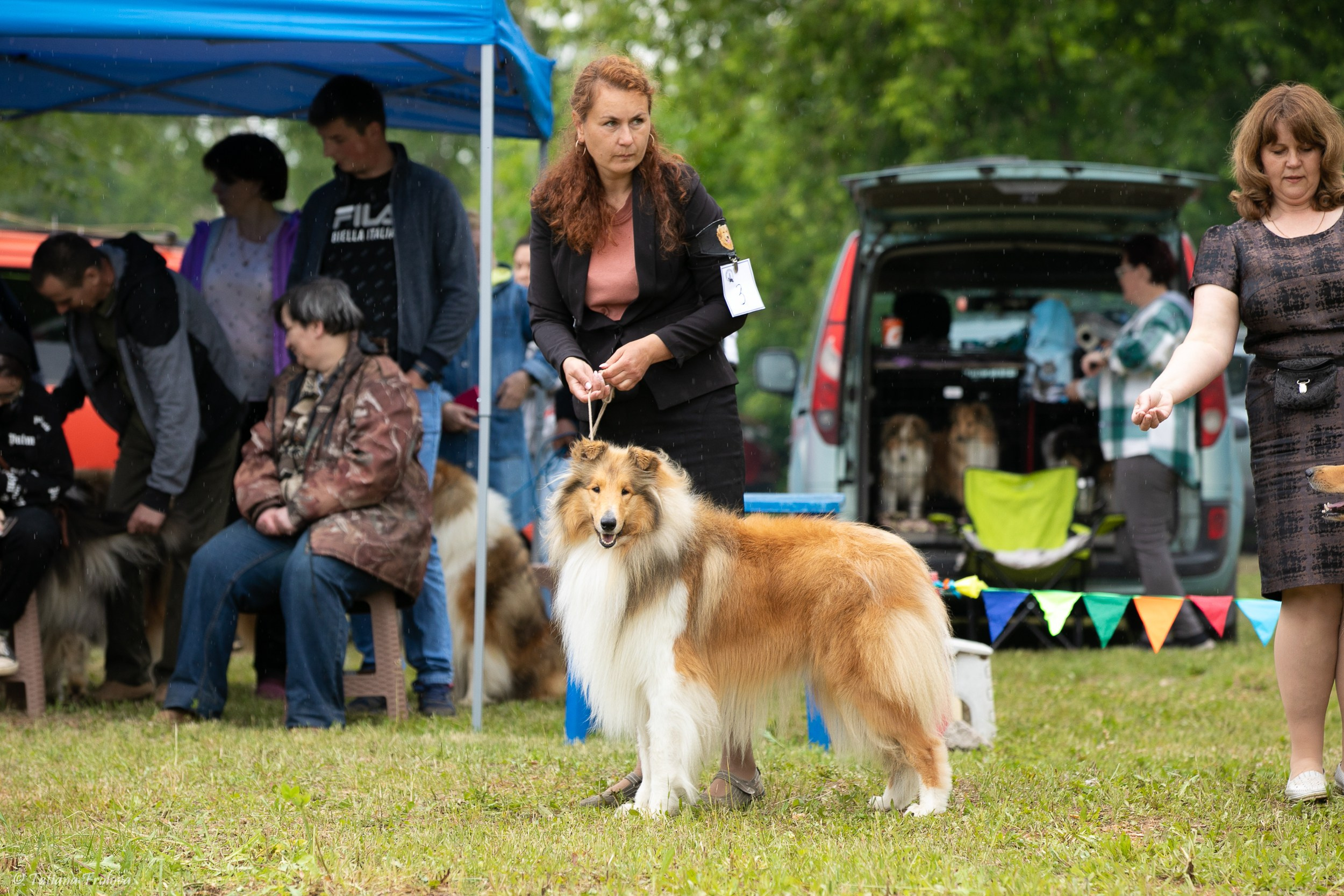 Фотосопровождение выставки собак в Московской области и Москве. Фотограф-анималист в Москве и Московской области Татьяна Фролова