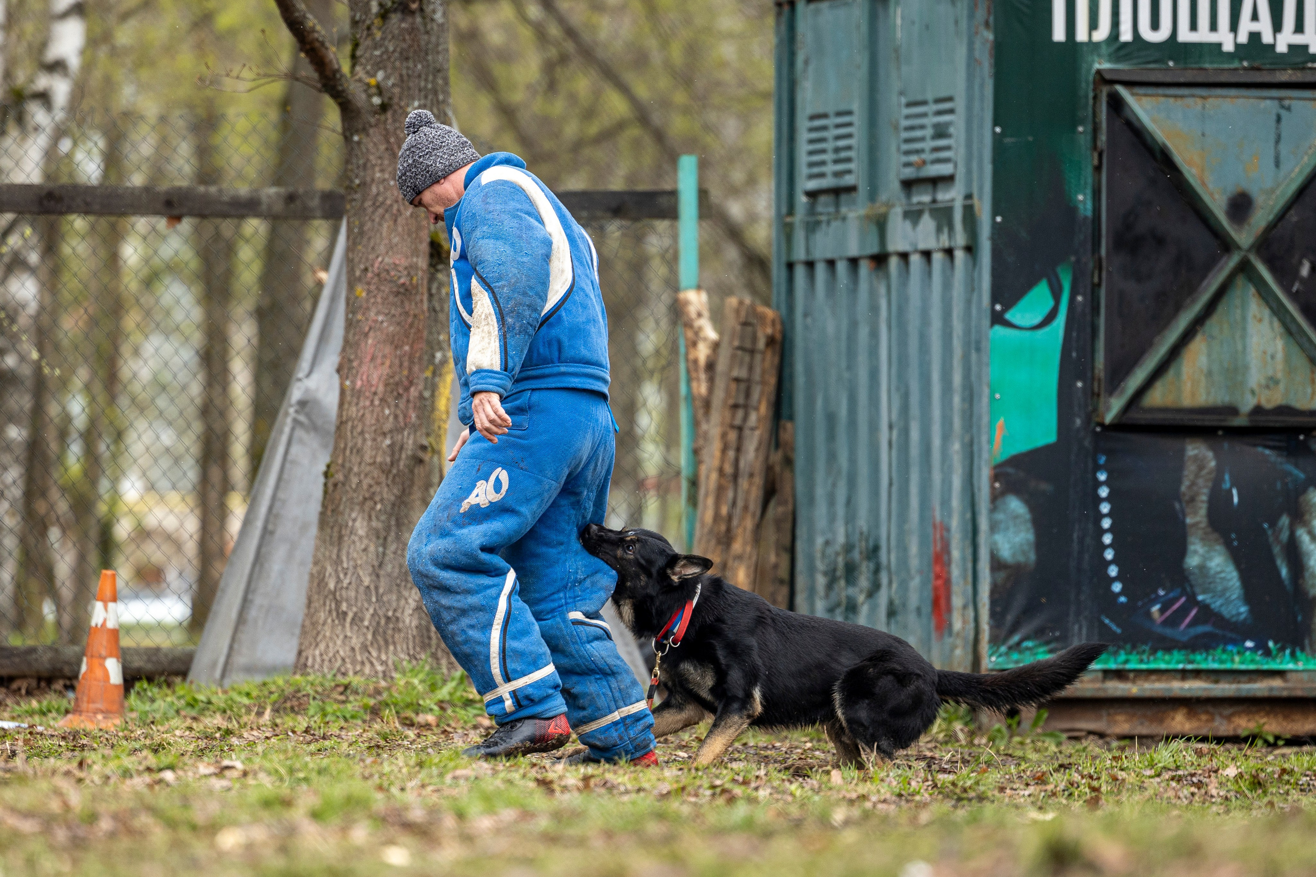 Квалификационные состязания по мондьорингу г. Вологда 11.05.24. Фотограф-анималист Анна Маринич