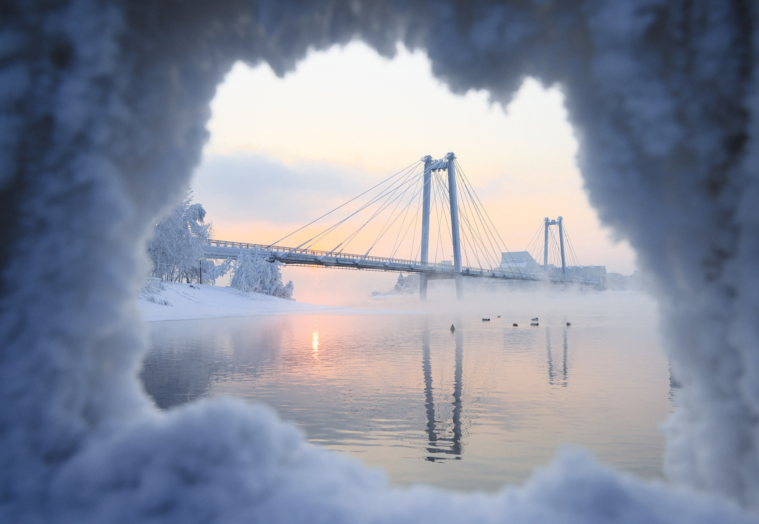 Мир вокруг нас. Разное. Фотограф Наталья Кузьмик г. Красноярск