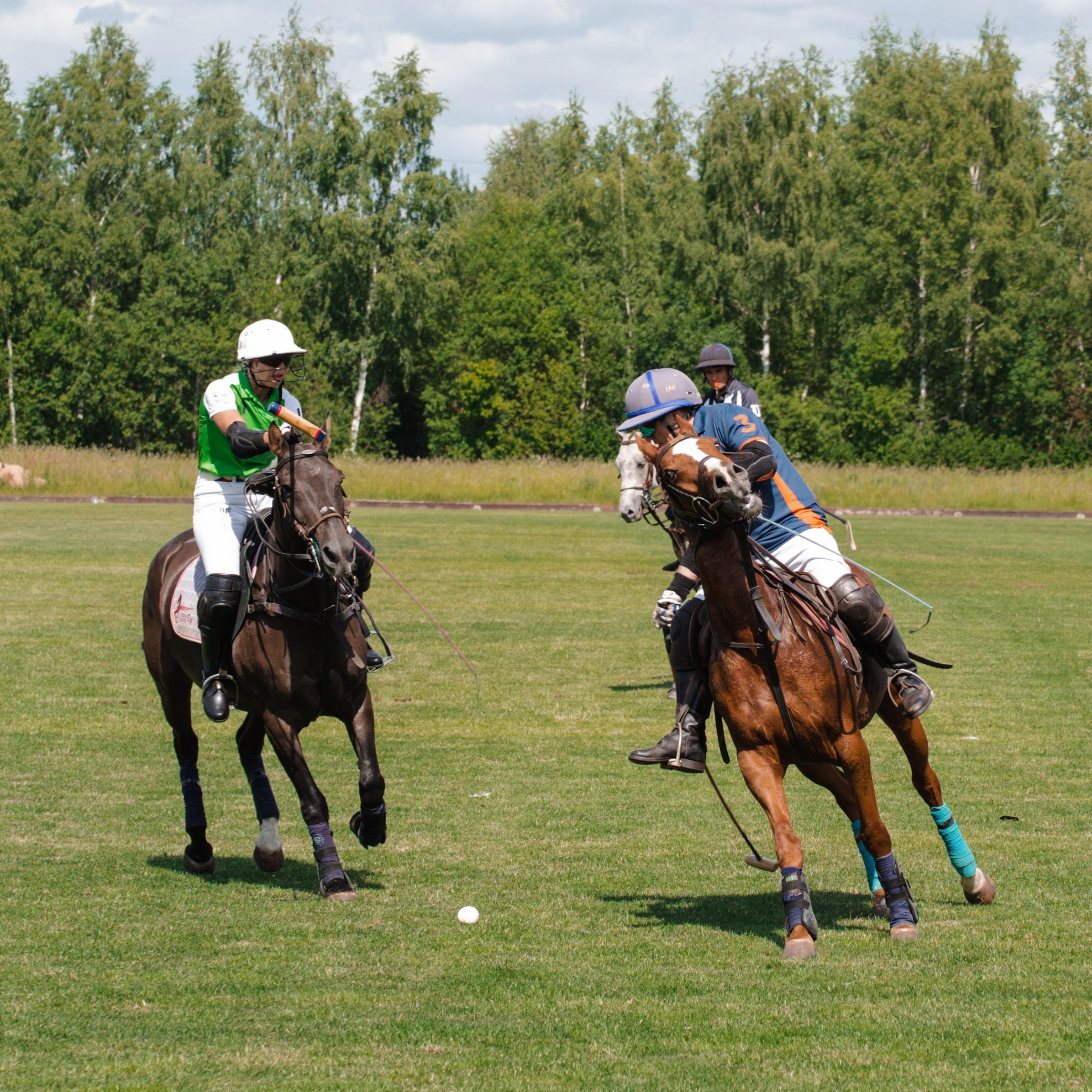 Конное поло. Фотограф Зинаида Евдокимова