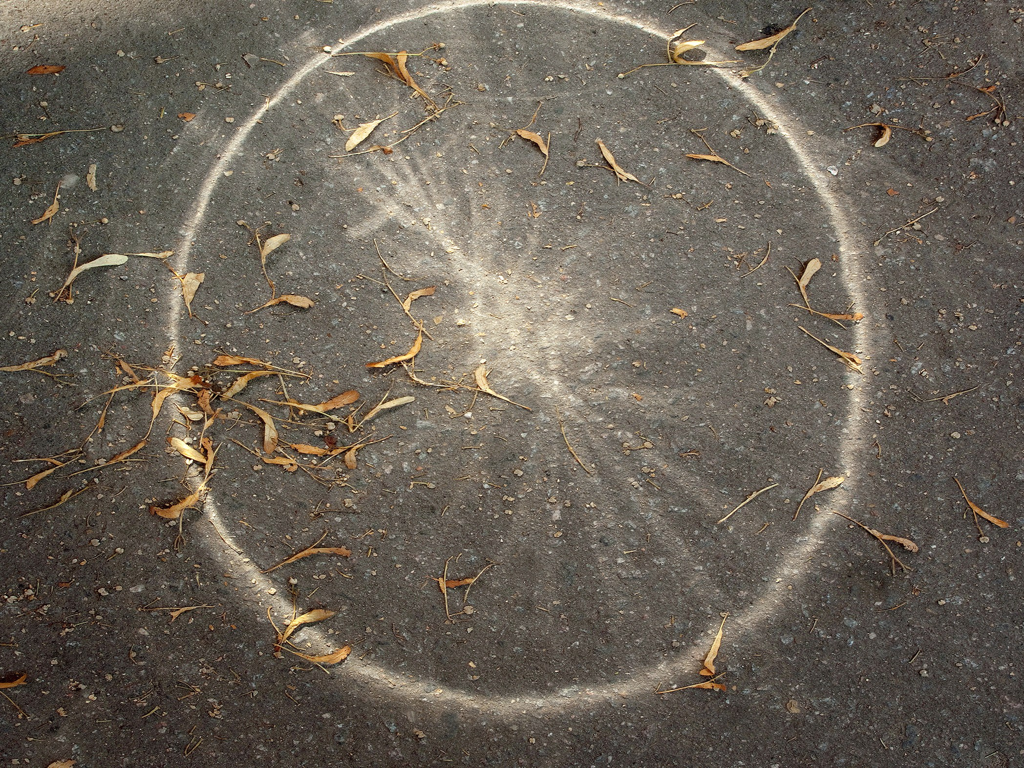 Симуляторы (Каталог № 1). Главная