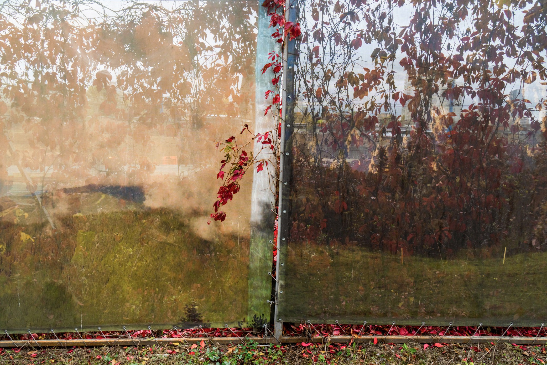 Симуляторы (Каталог № 3). Главная