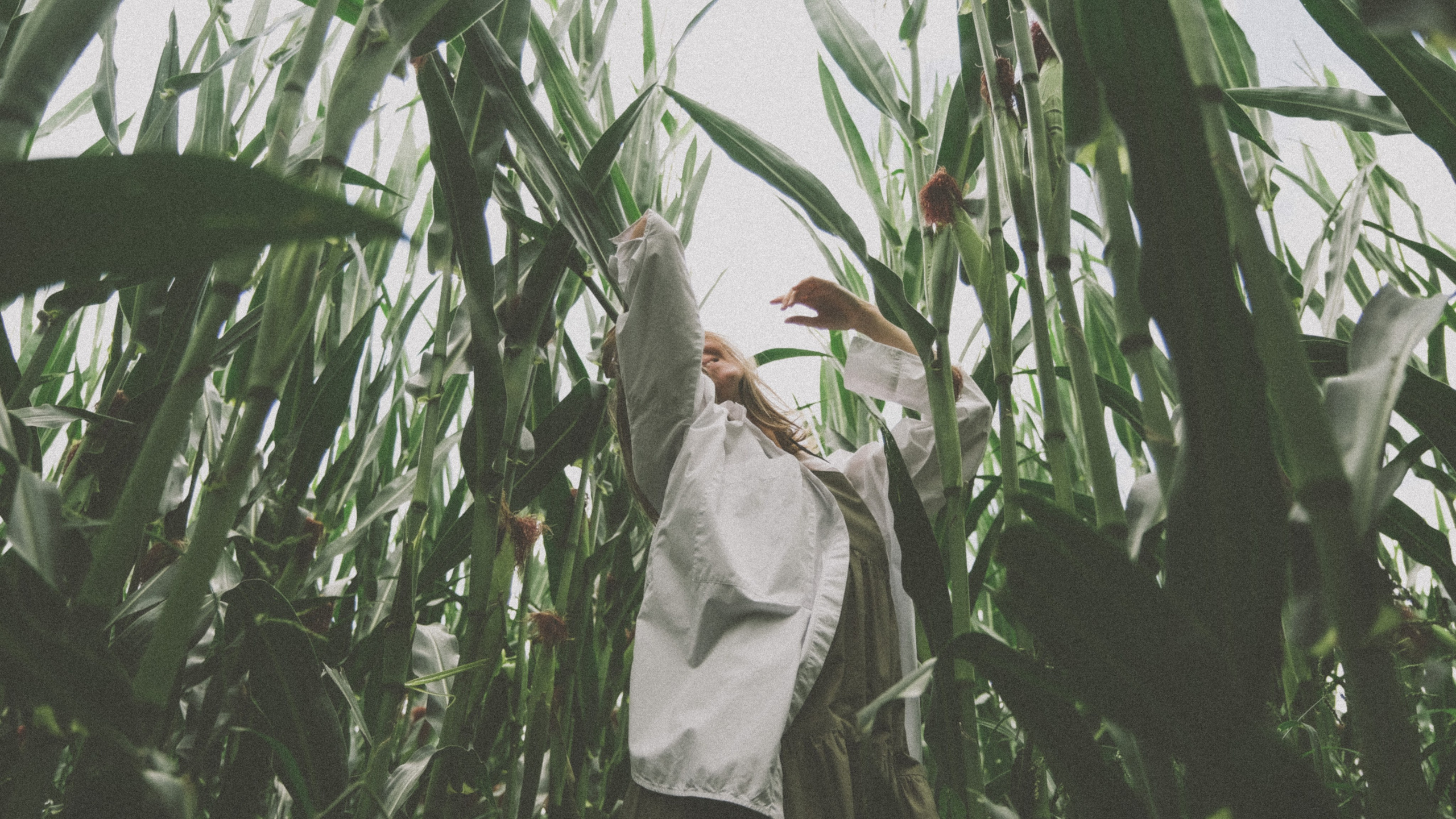 В кукурузном поле. Семейный фотограф Москва и Домодедово Ольга Игнатова