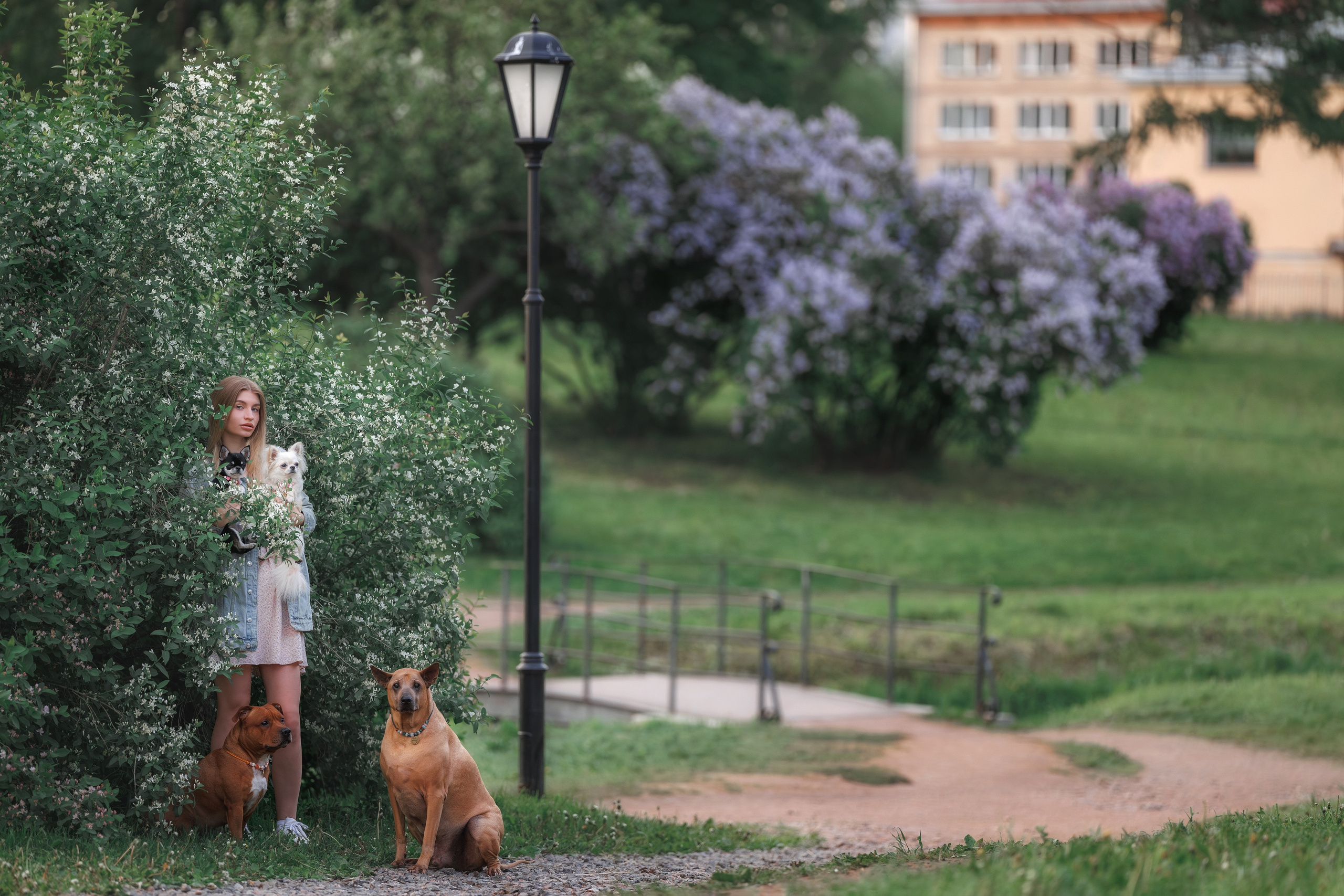 Утренняя прогулка в сирени. Фотограф-анималист Юлия Зубкова