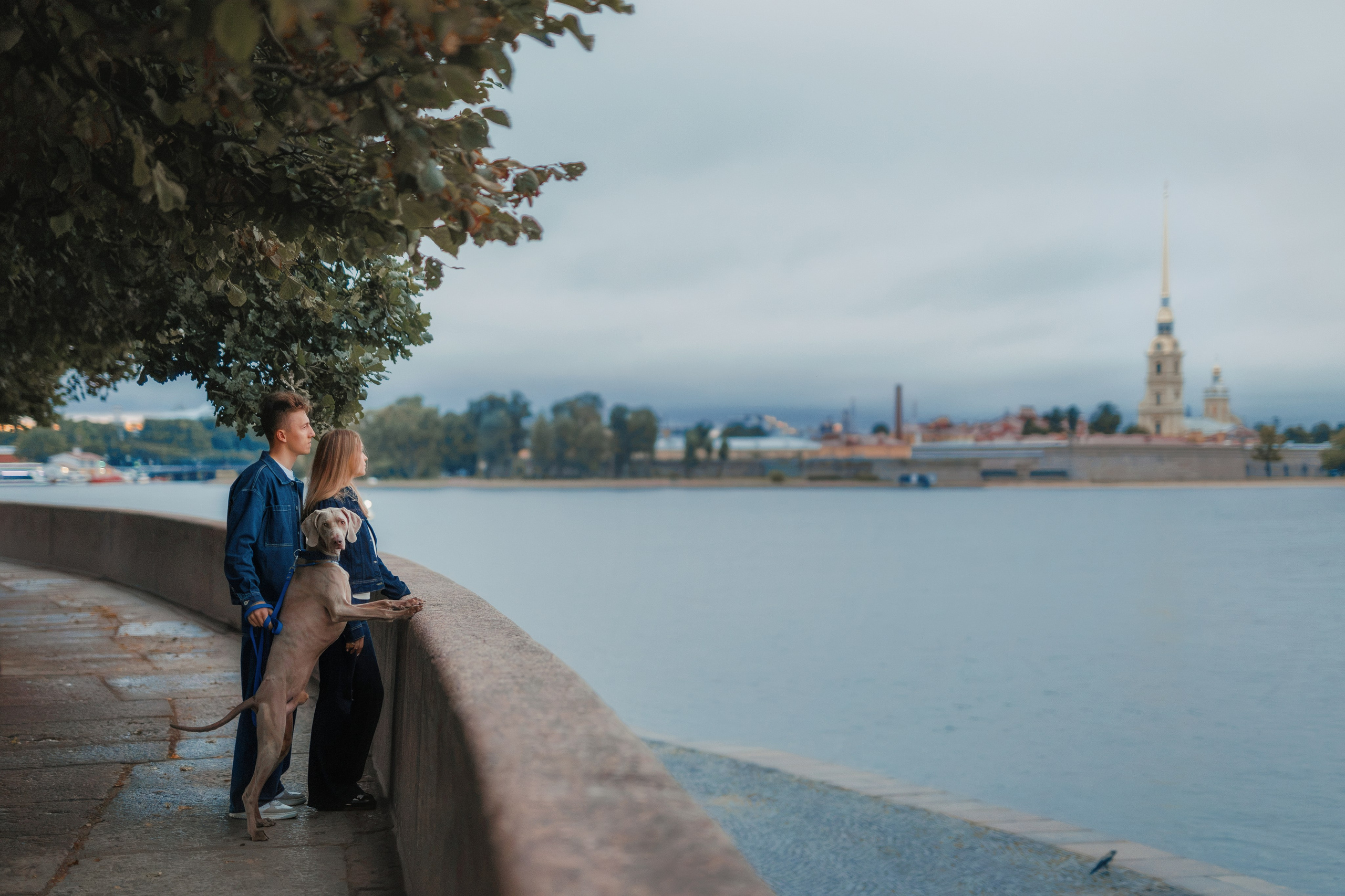 Рассветная съемка на стрелке Васильевского острова. Фотограф-анималист Юлия Зубкова
