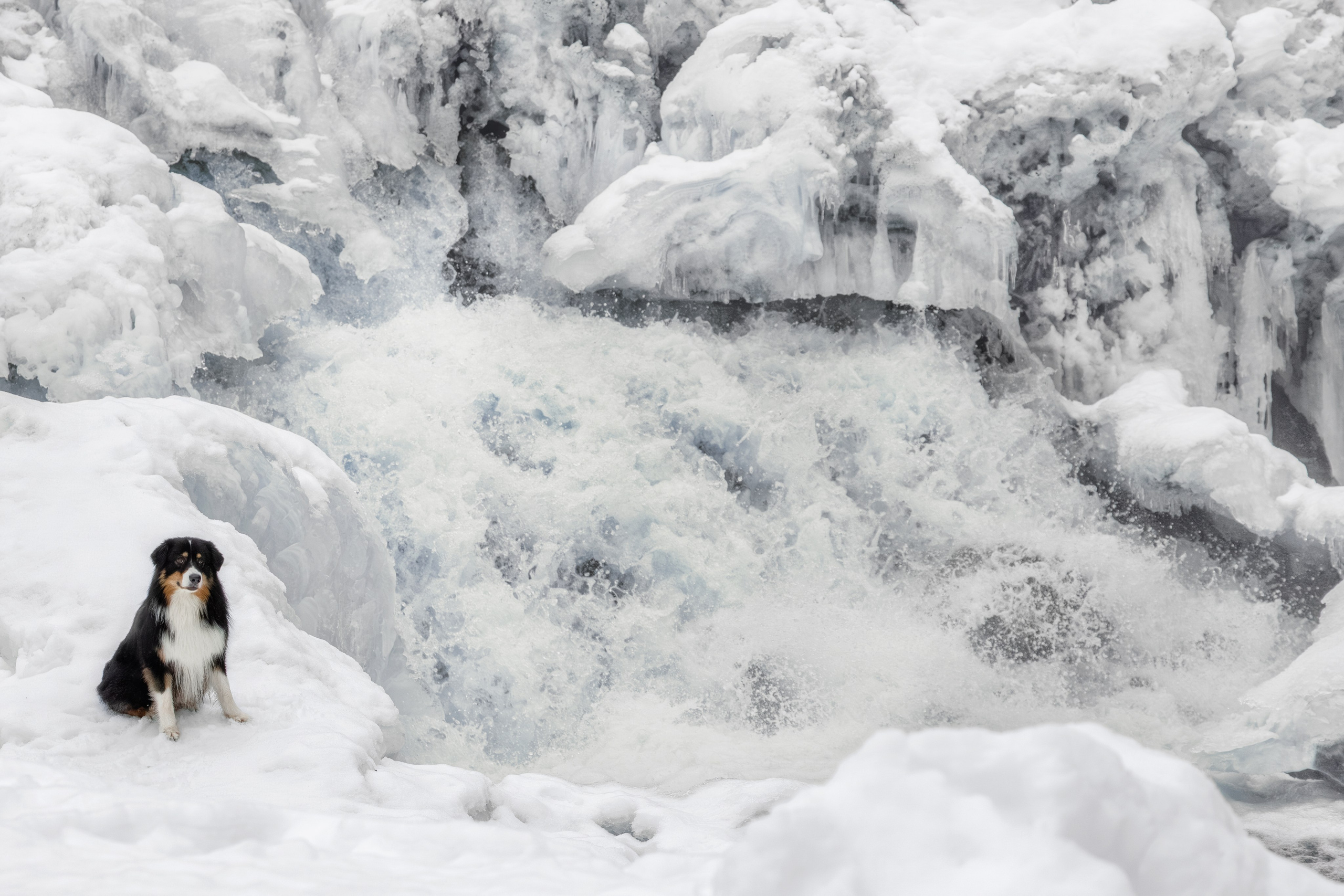 Замерзший водопад. Фотограф-анималист Юлия Зубкова