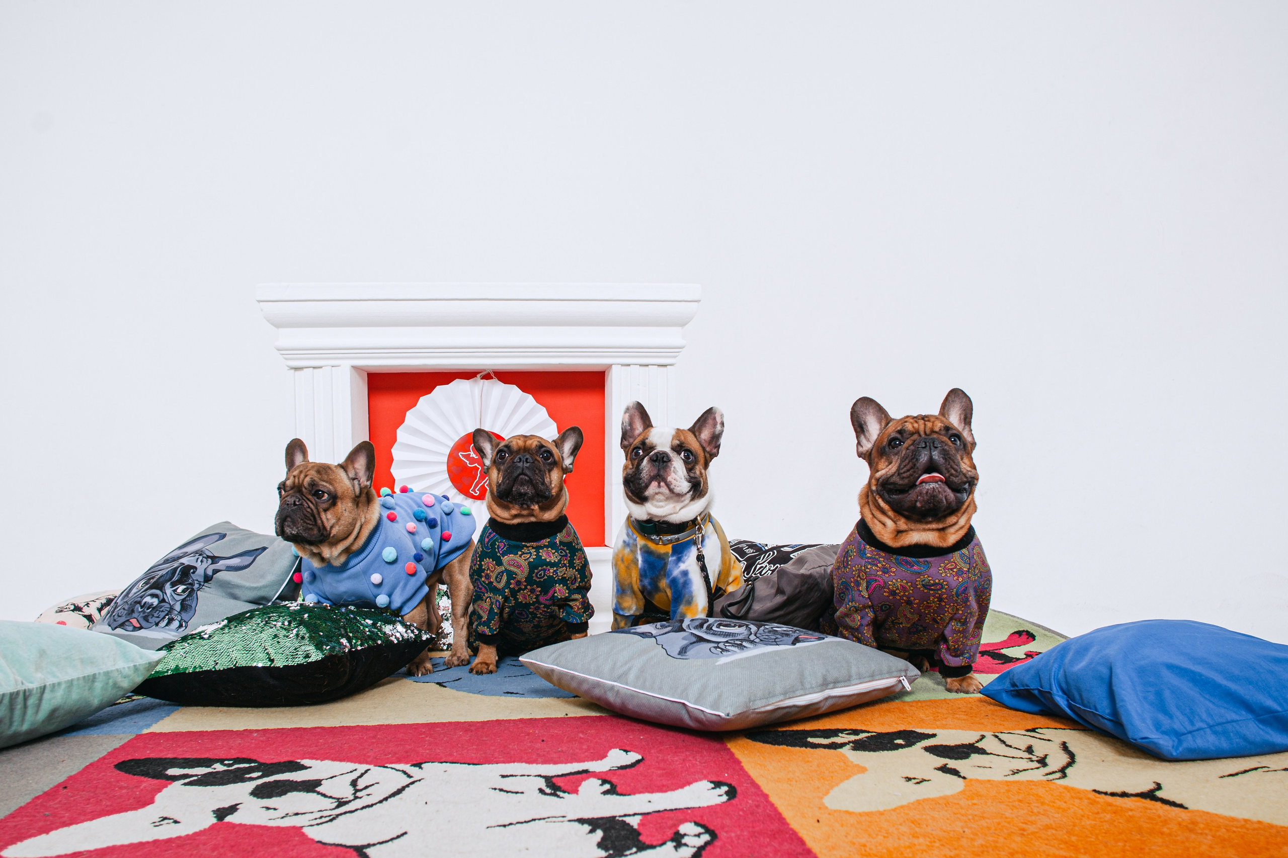 Пижамная вечеринка французских бульдогов и их хозяев. Фотограф-анималист Татьяна Степанова