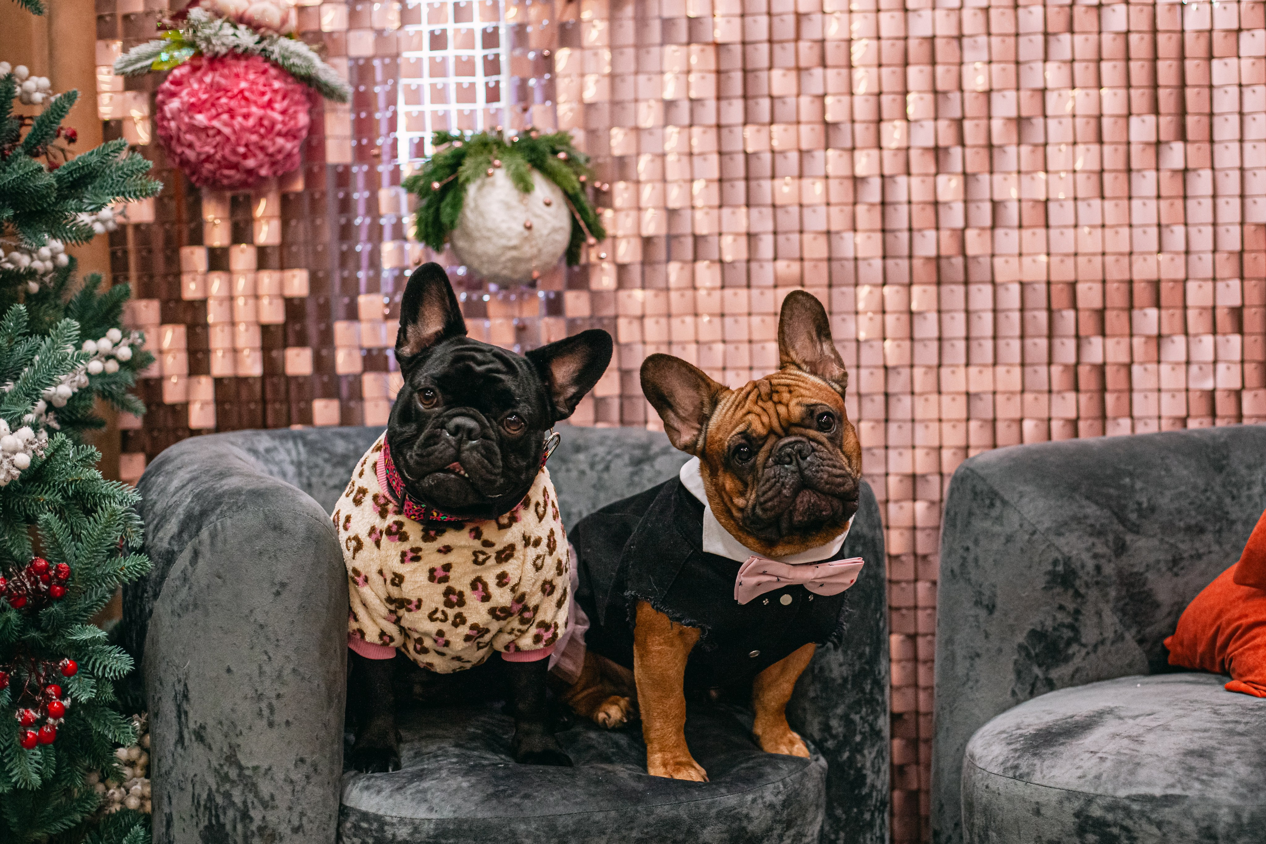 Бульёлка 2024. Фотограф-анималист Татьяна Степанова