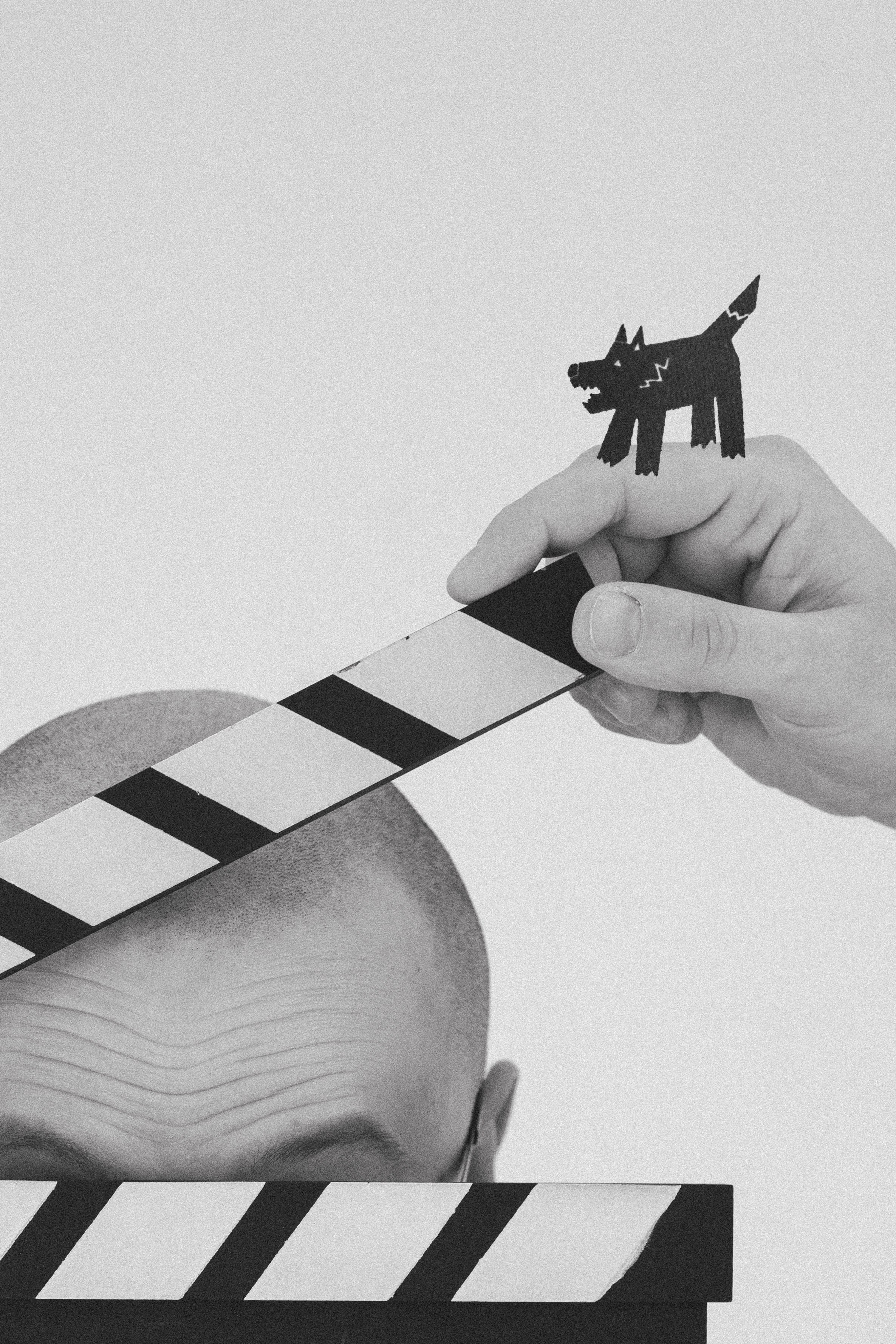 Константин Лобанов ЧБ. Фотограф-анималист Ксения Воробьева, Москва