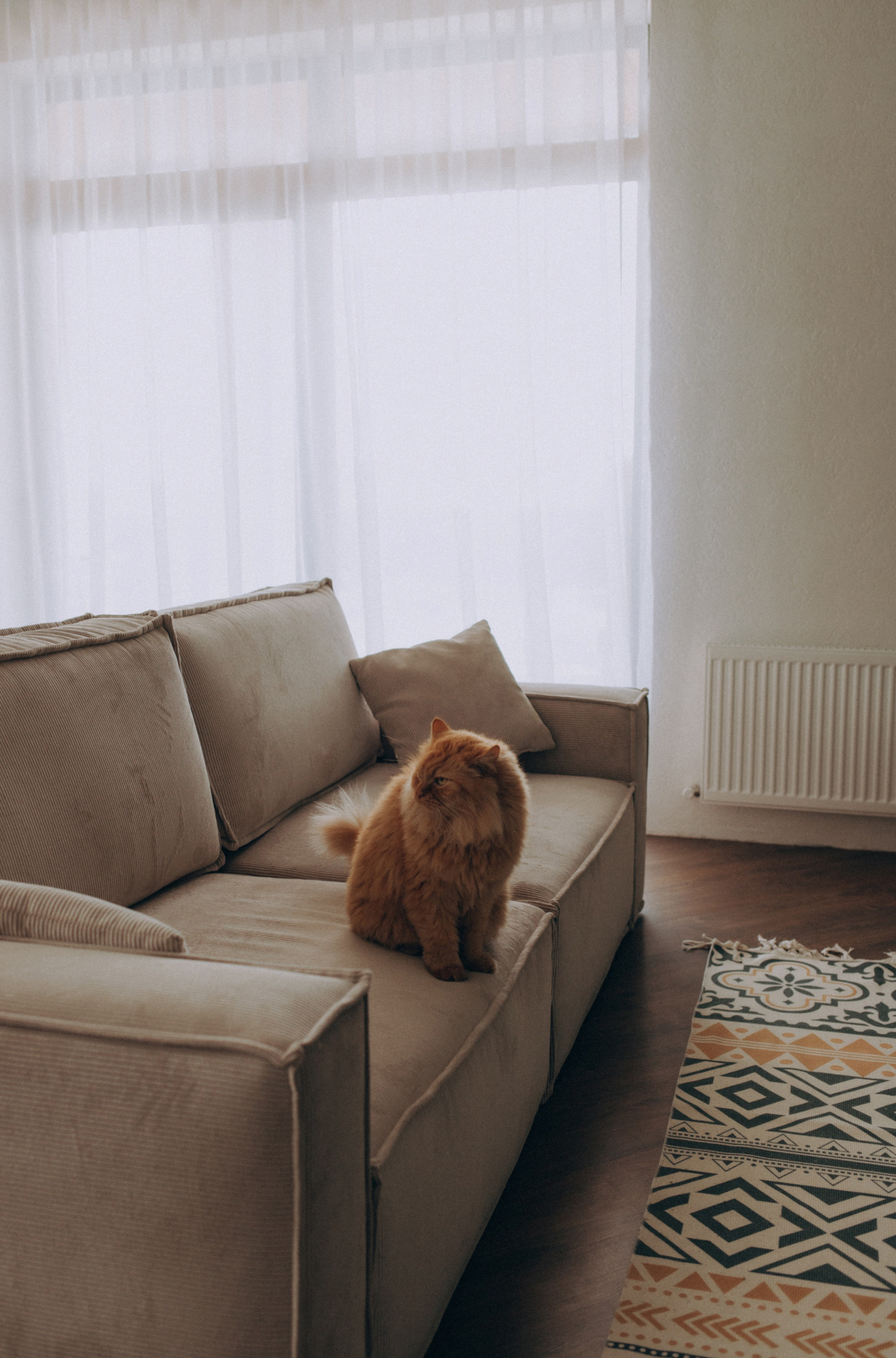 🤎. Семейный фотограф Виолла Платонова Белгород