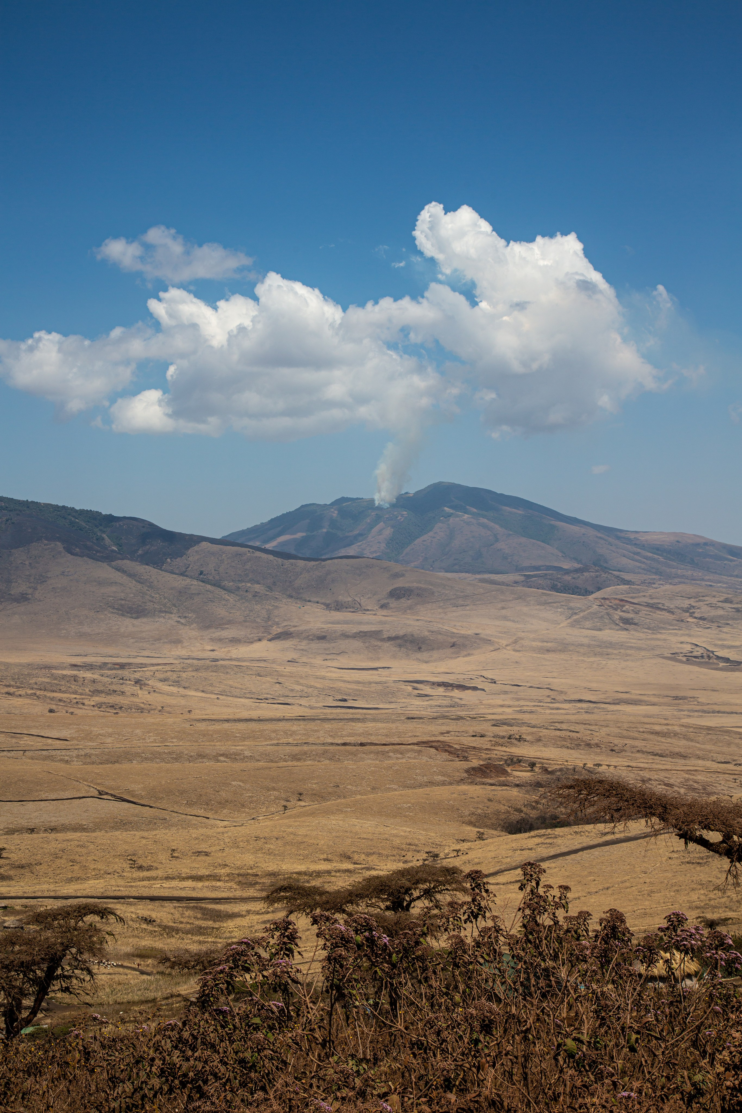Танзания. Добродеева Алла фотограф, Москва