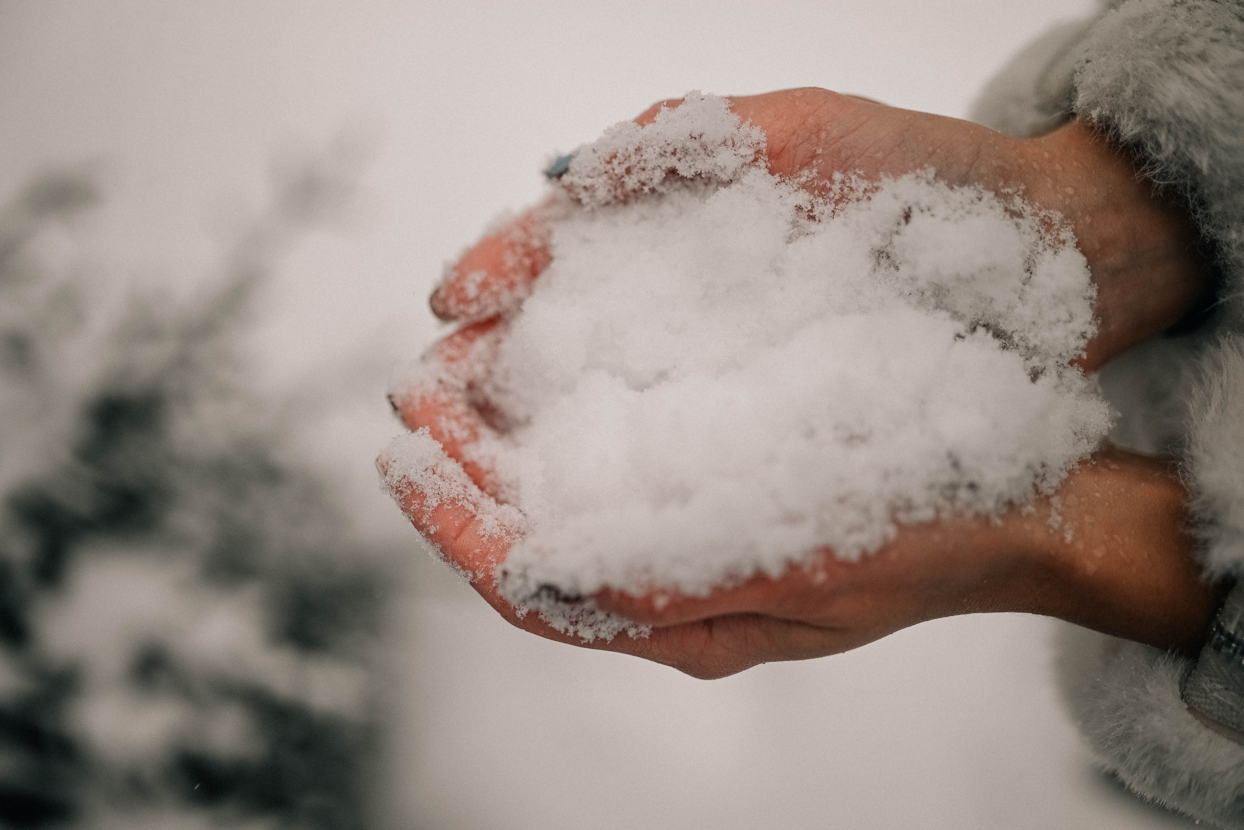 Прогулка лесная в Кожухово. Семейный фотограф в Москве Люберцах Ирина Вронская