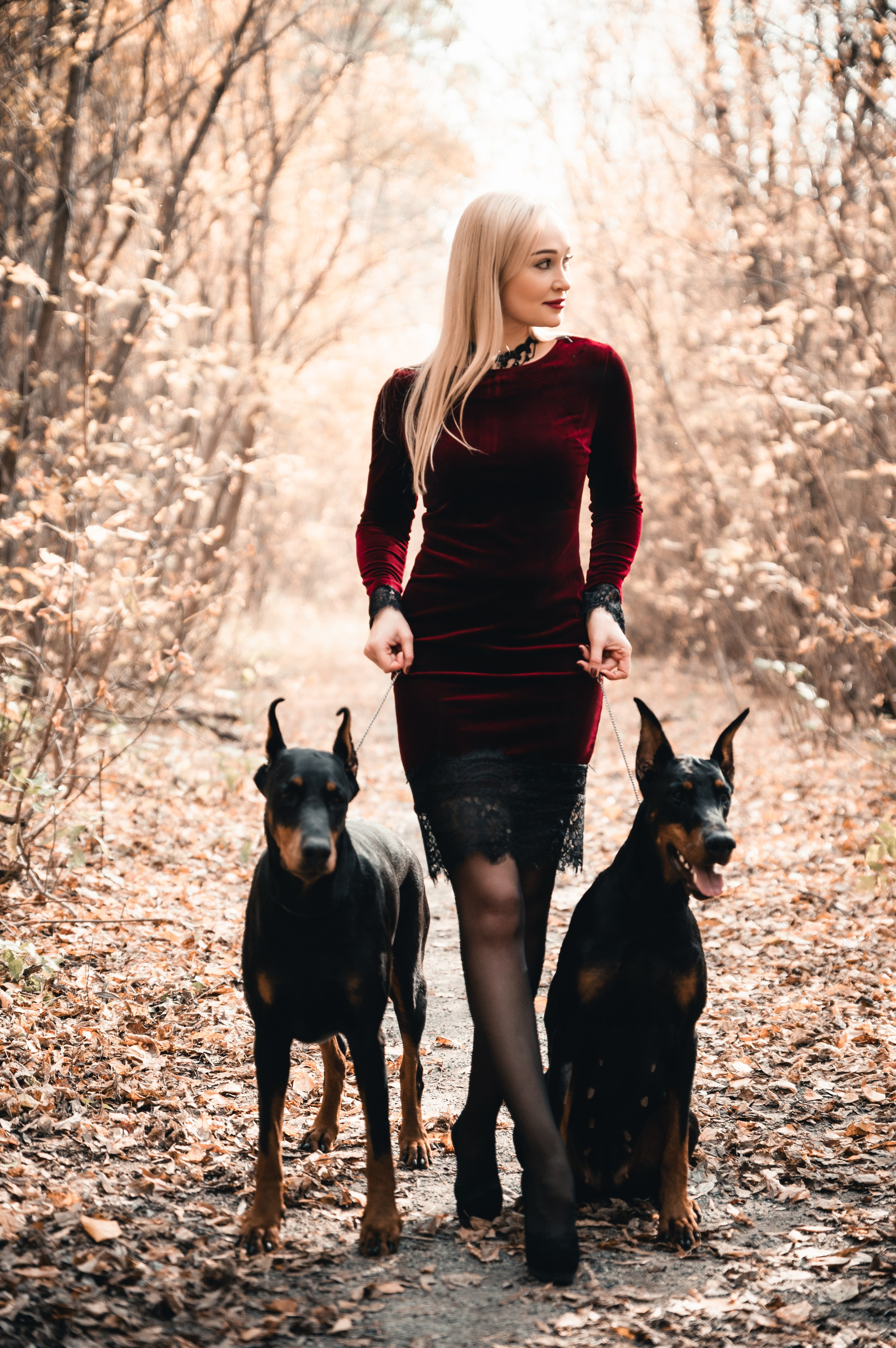 Съемка с доберманами. Фотограф в Новосибирске