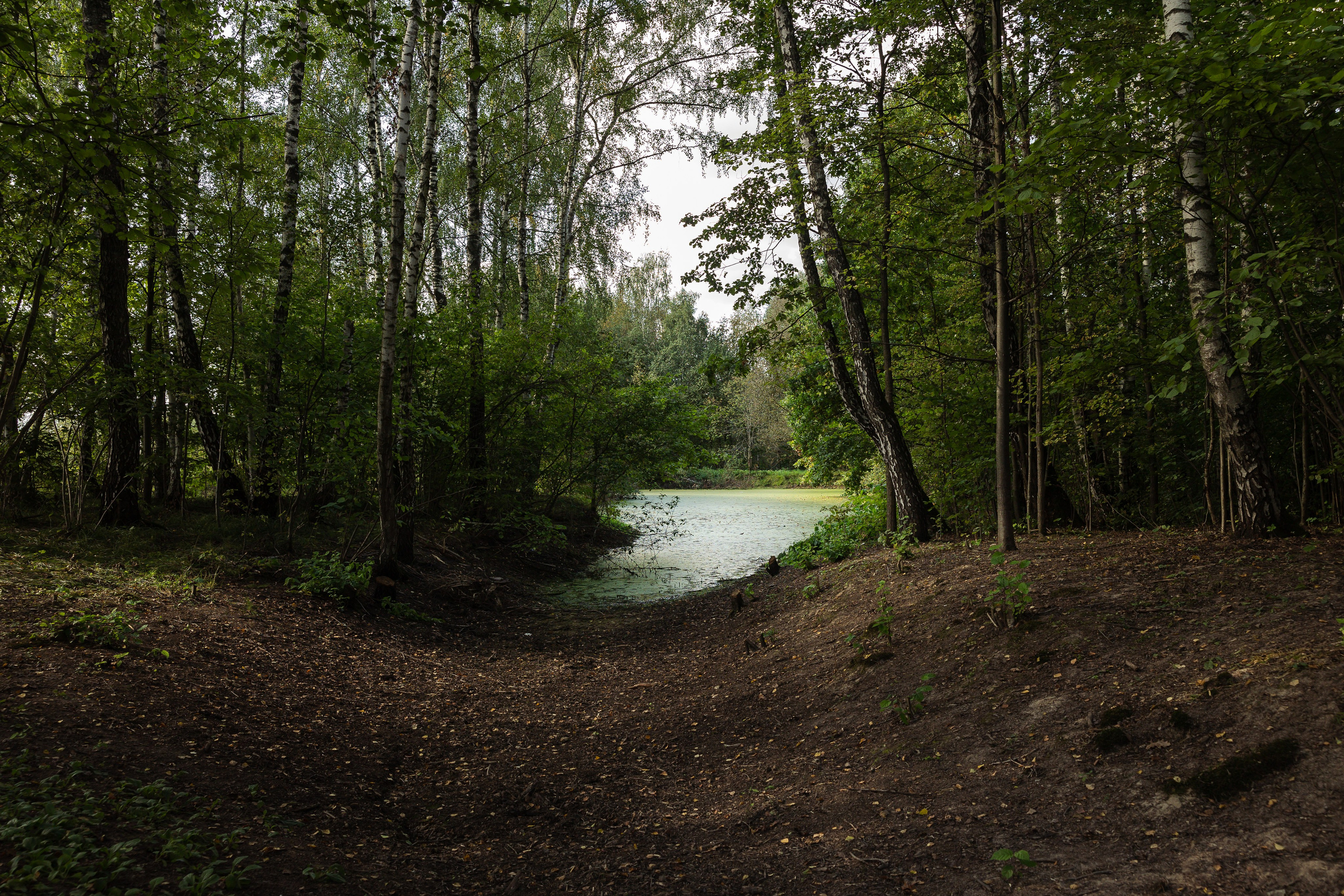 Кинопарк «Москино». Лисенкова Алиса — Фотограф, видеомейкер. Москва