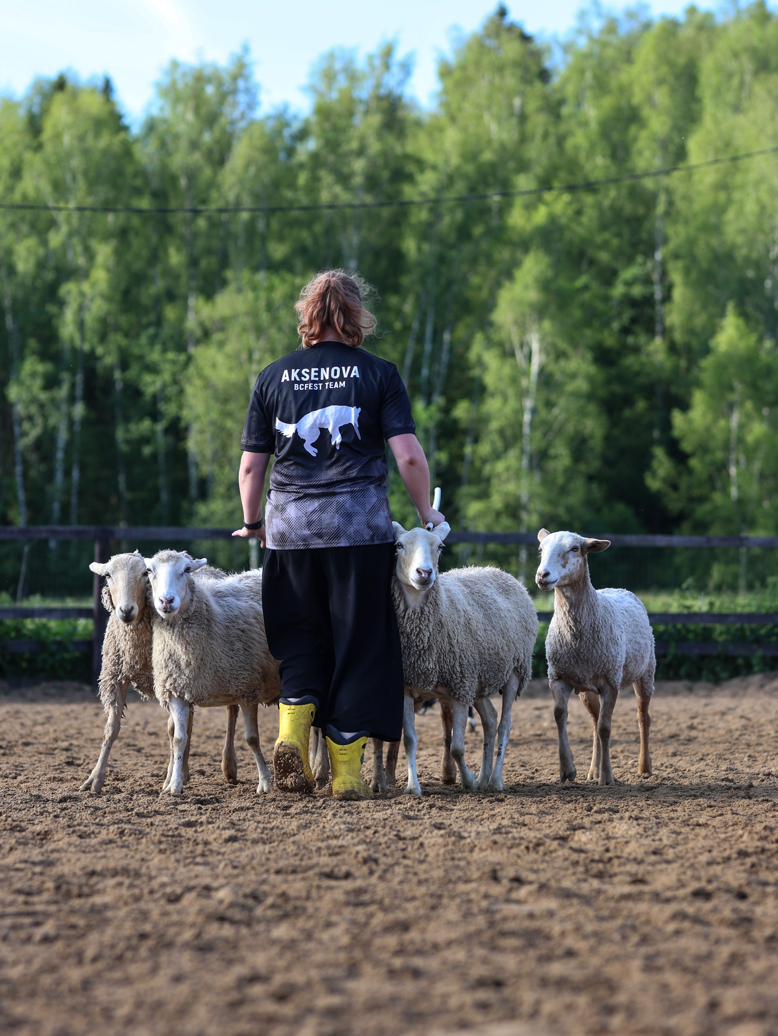 Пастьба. Фотограф-анималист в Москве Кириллова Татьяна
