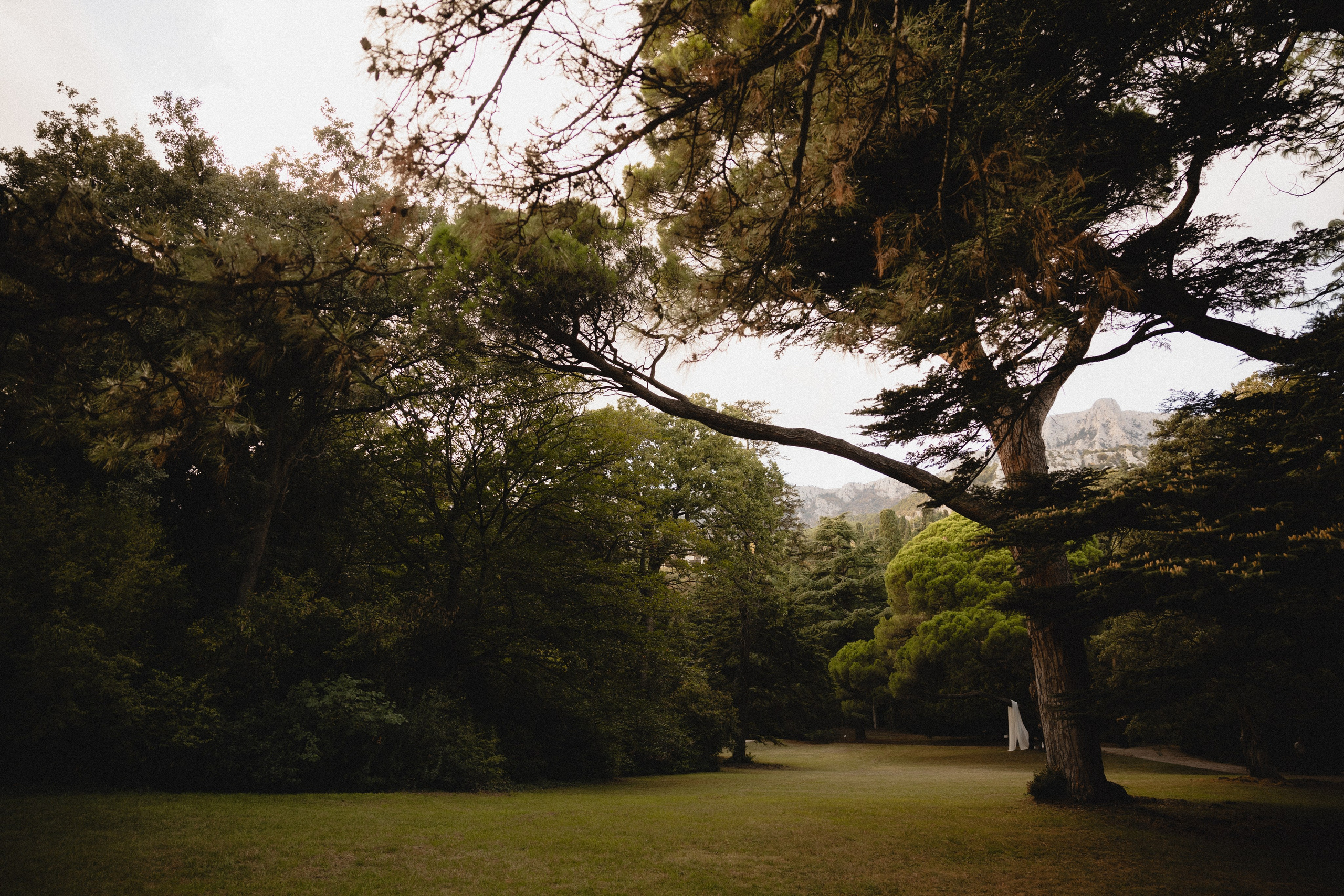 Свадебная фотосессия Крым. Свадебный и семейный фотограф и видеограф, Крым, Москва, Санкт -Петербург