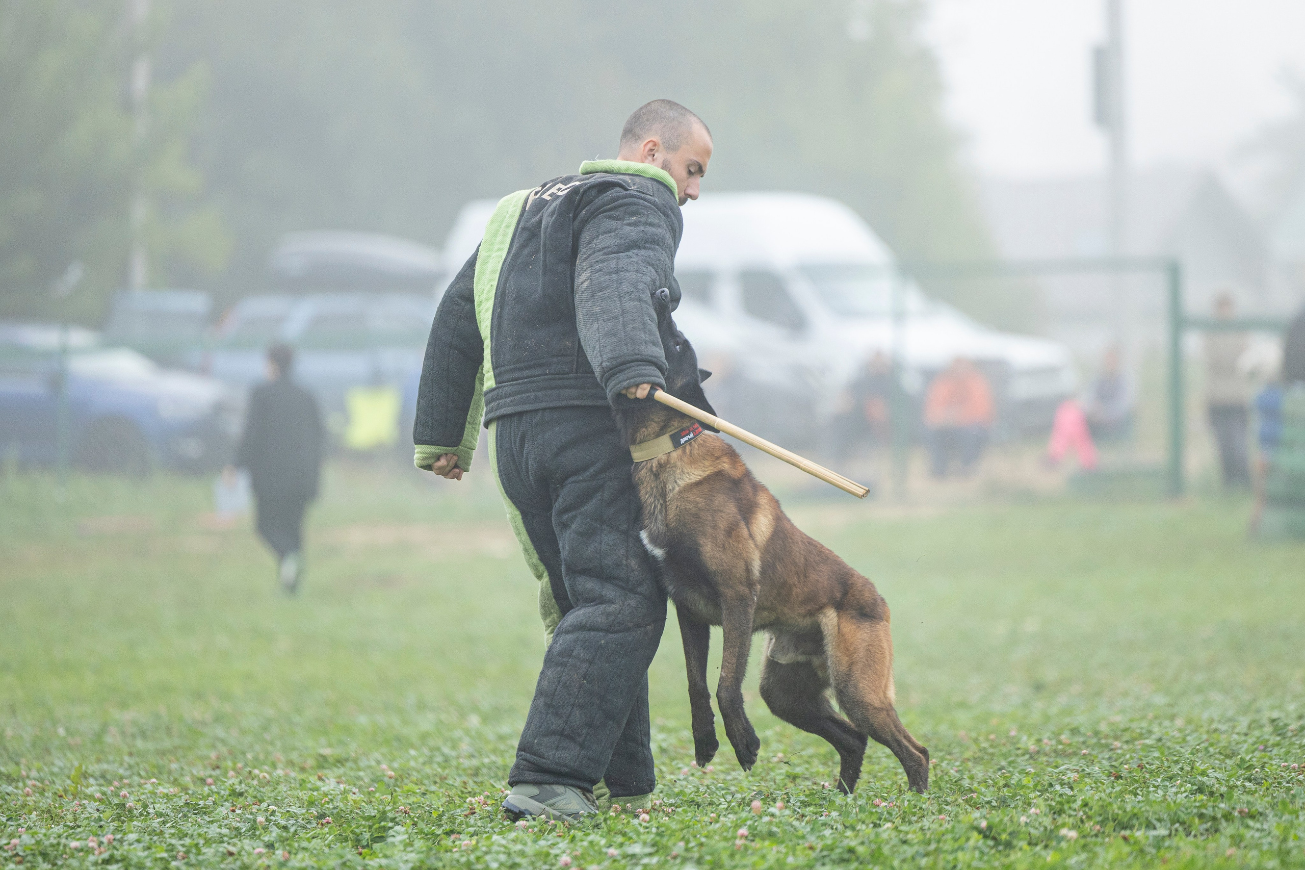 Соревнования по Мондьорингу г. Вологда 10-11.08.2024. Фотограф-анималист Анна Маринич
