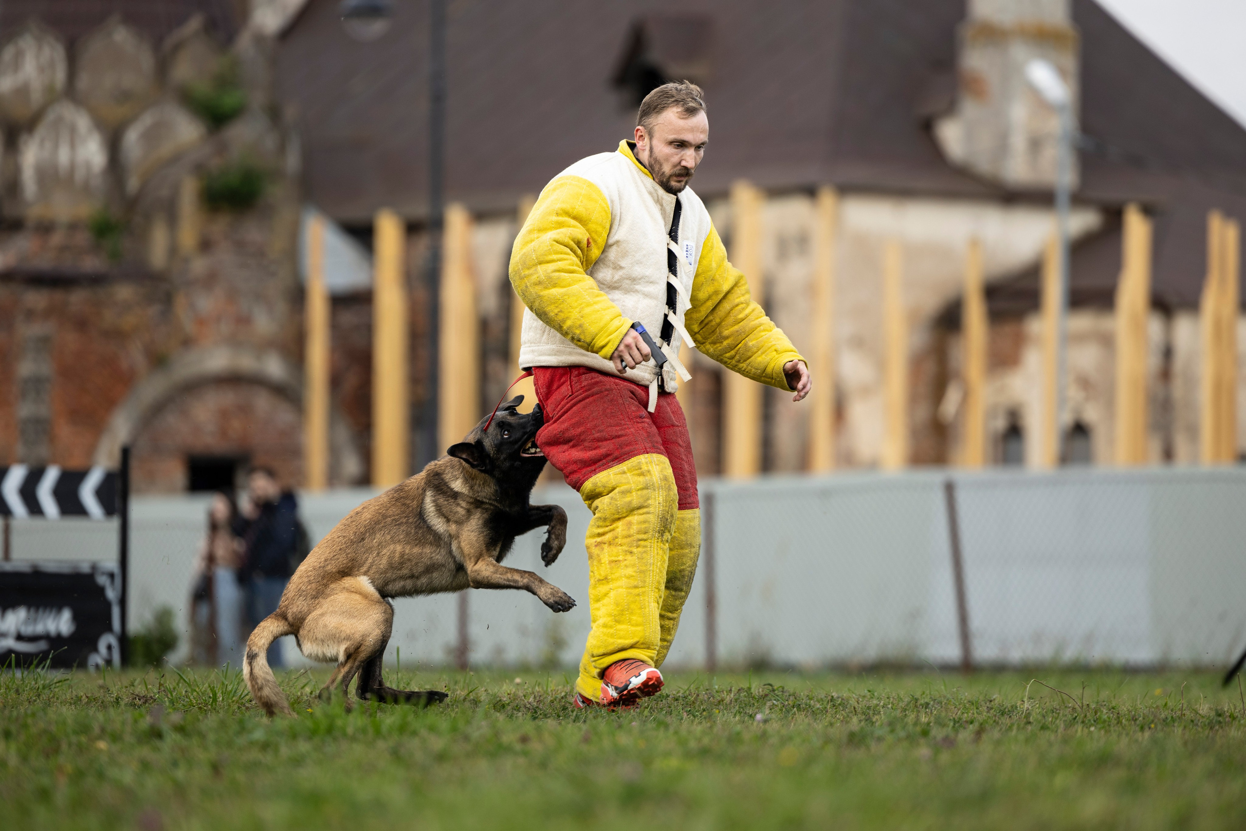 Испытания по Мондьорингу г. Пушкин. Фотограф-анималист Анна Маринич