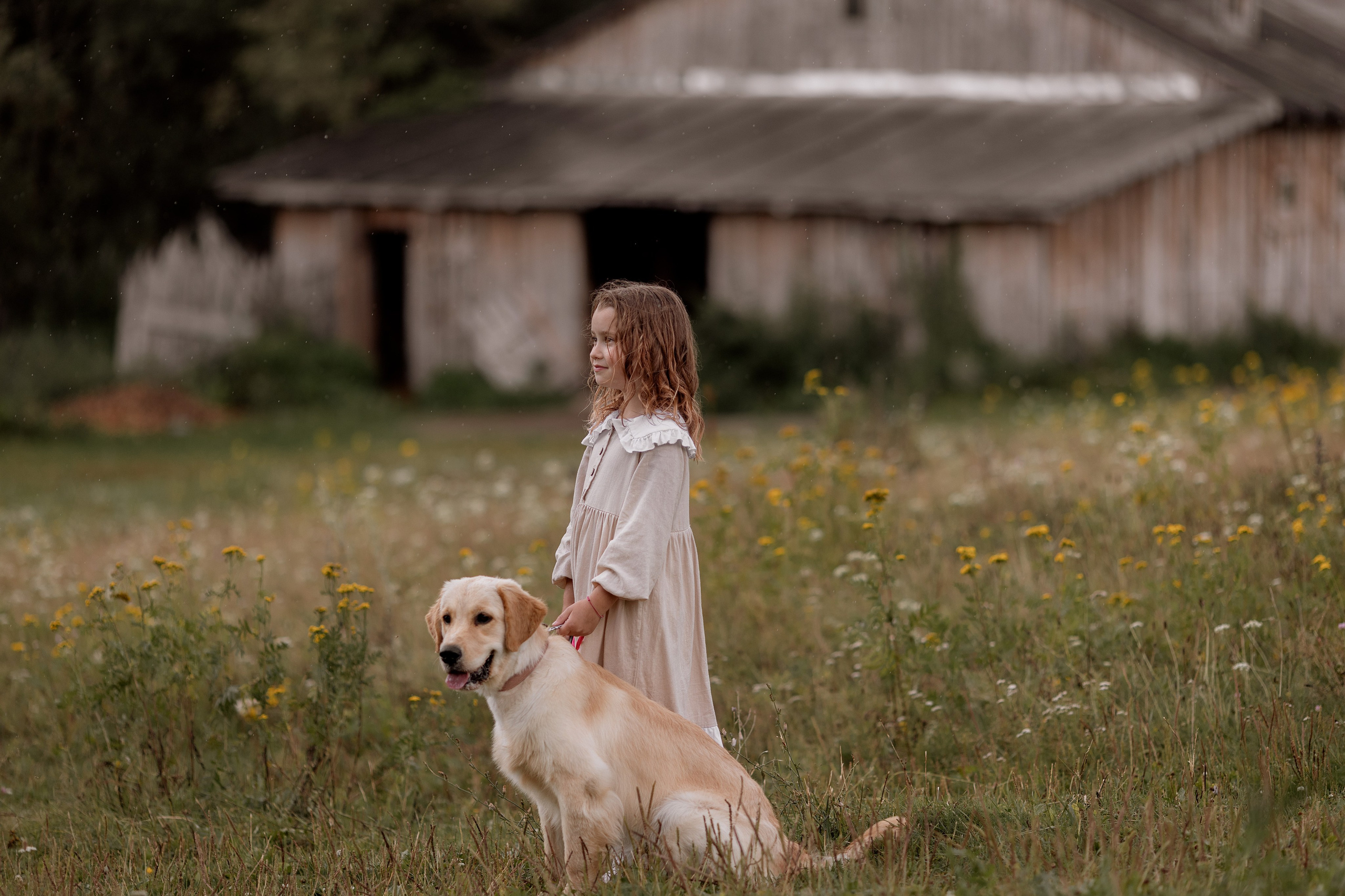 Семейная лето Суздаль. Фотограф Анна Мартынчик