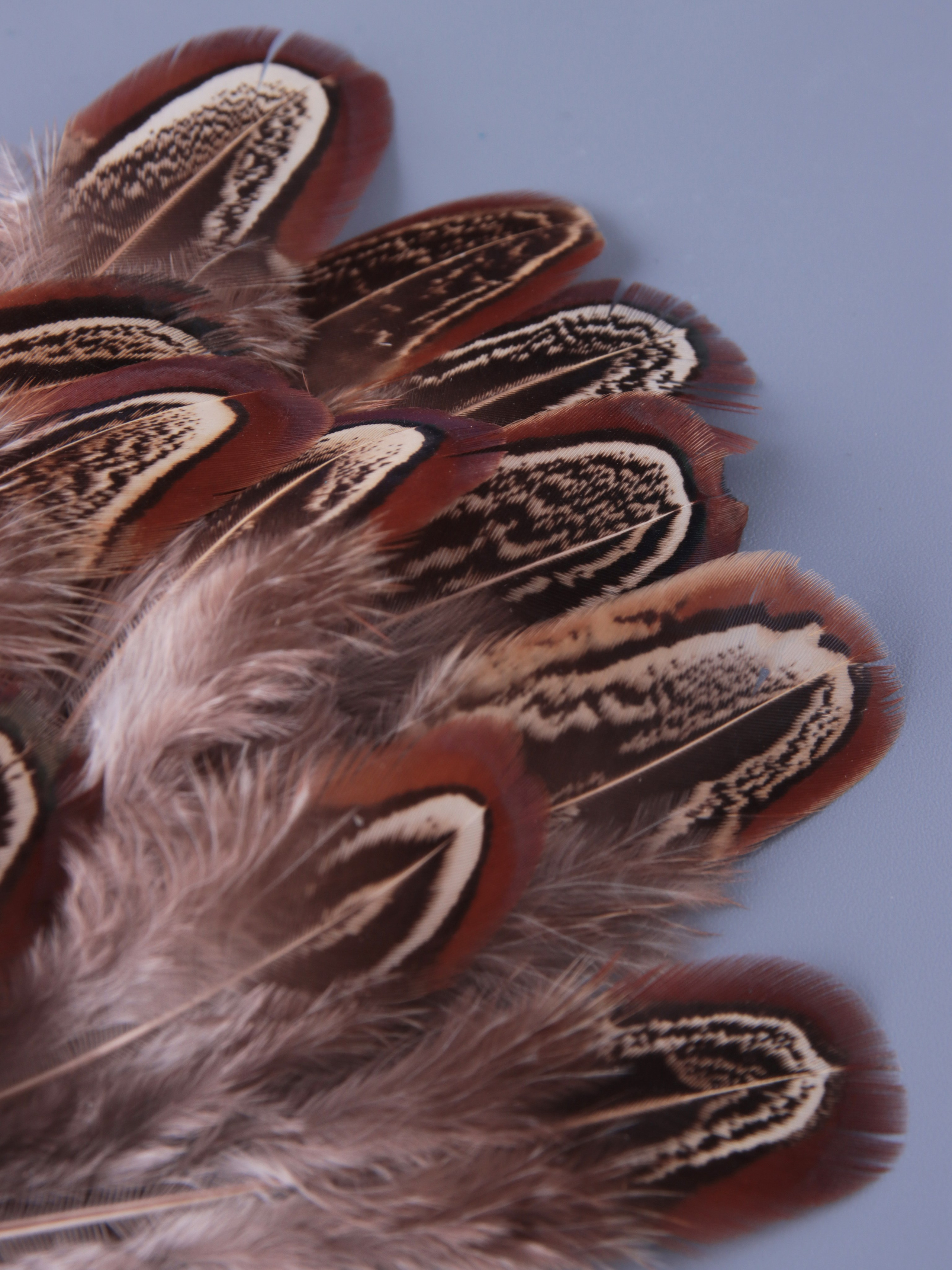 Имиджевая съёмка. Предметный фотограф, визуальный контент, фото для маркетплейсов