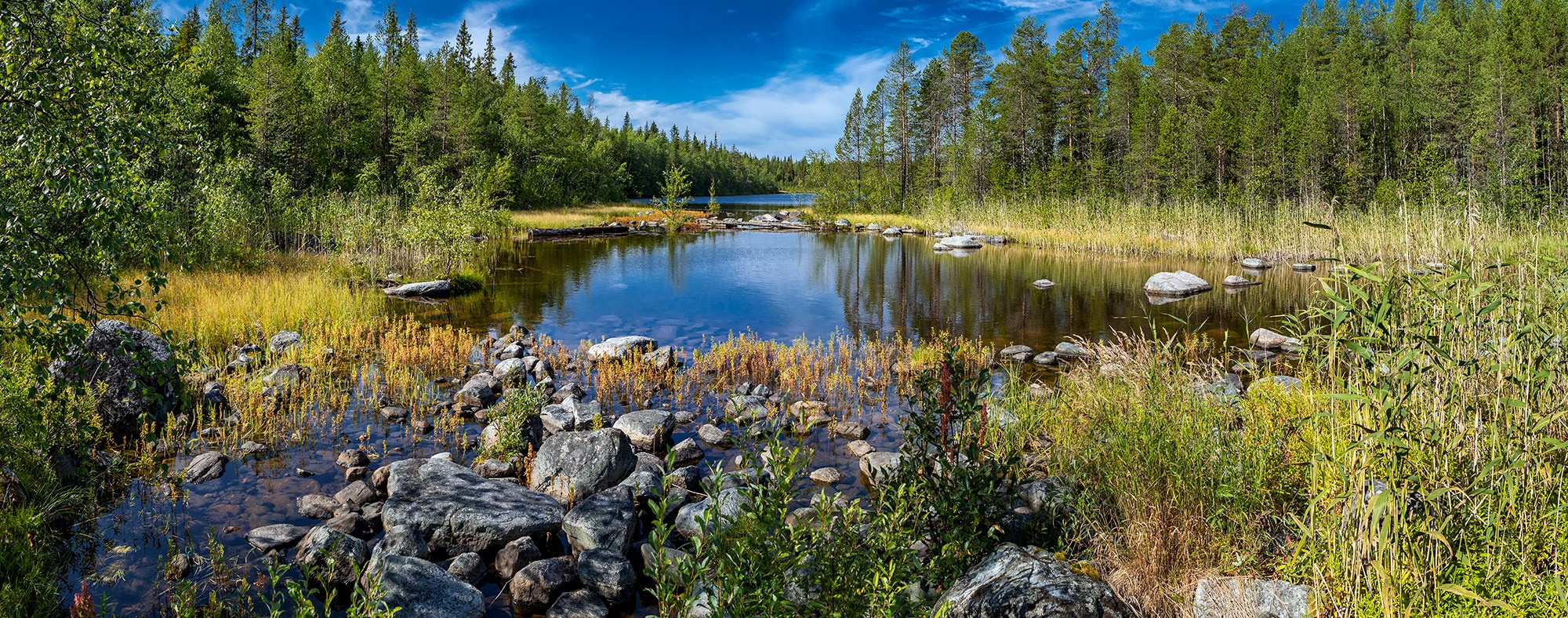 Беломорье, Россия. Фотограф Владимир Остапенко