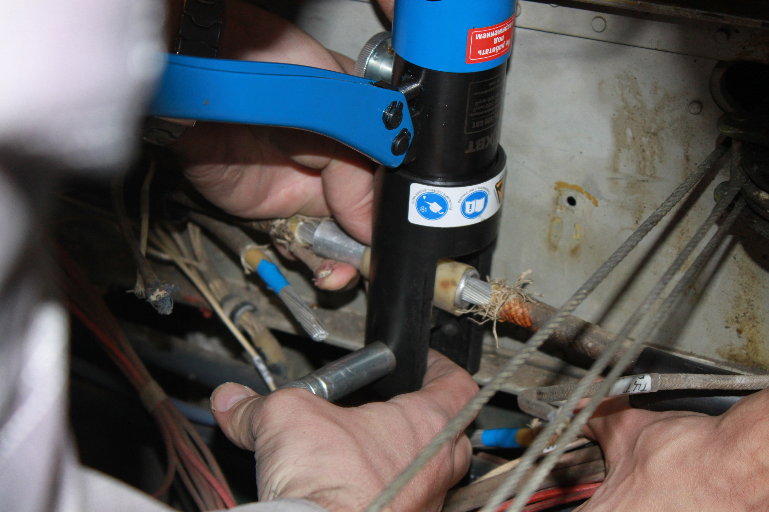 Ил-14Т «Голубая Мечта» работы в Тушино (2011 г.). Фотоальбом показывающий увлекательный мир авиации и мир медведей Андрея Иванова