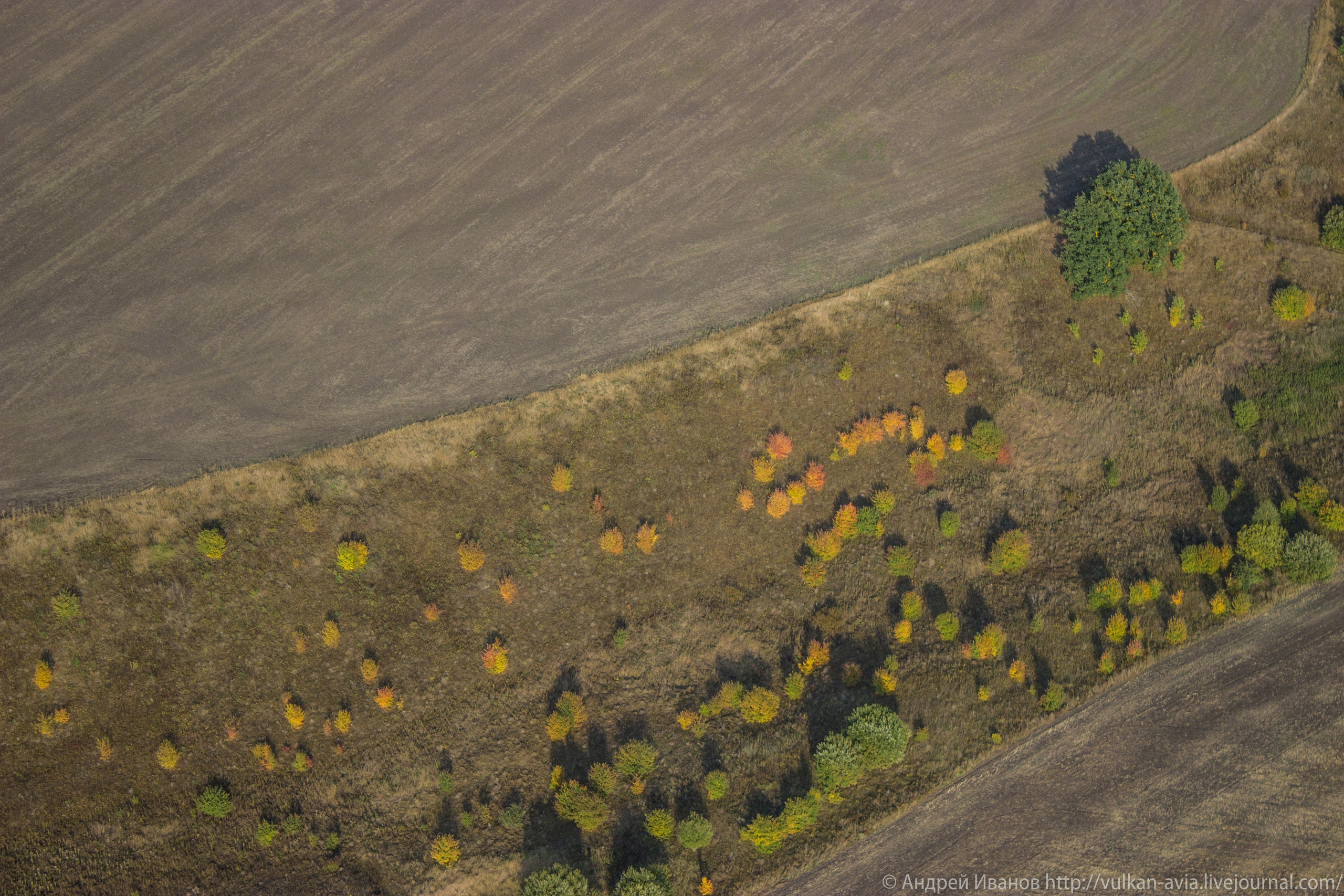 Волгодонск аэр. Потапов слёт «Небо для всех» (2021 г.). Фотоальбом показывающий увлекательный мир авиации и мир медведей Андрея Иванова