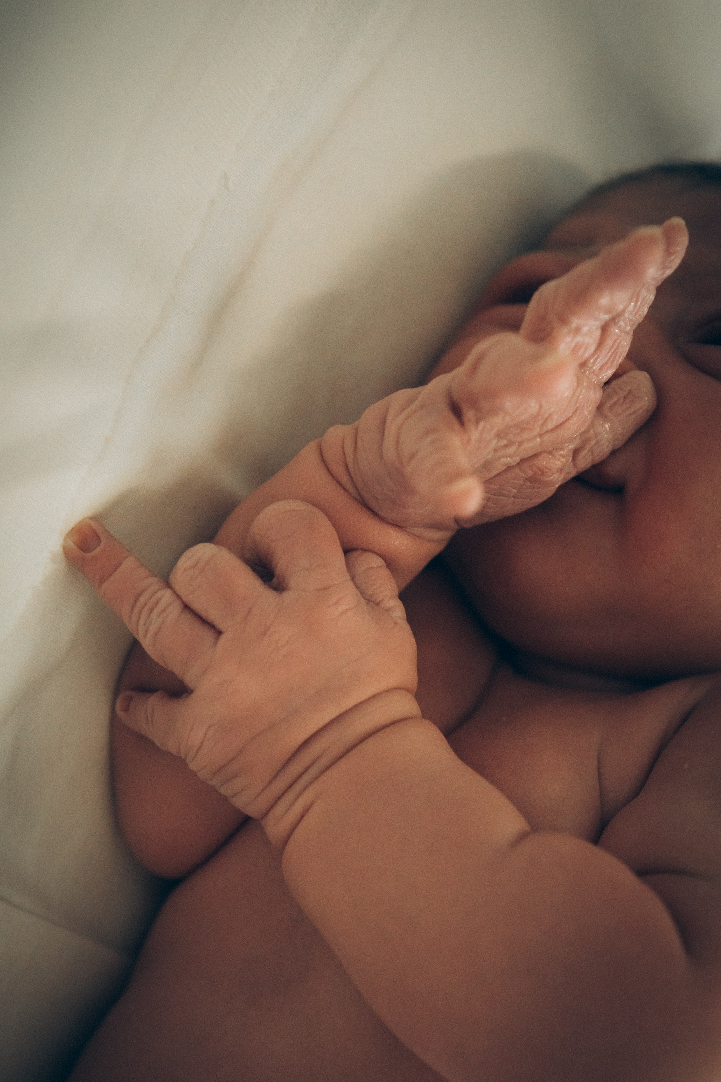 Рождение Афины. Семейный фотограф и фотограф на роды в Ростове-на-Дону Мухина Виктория