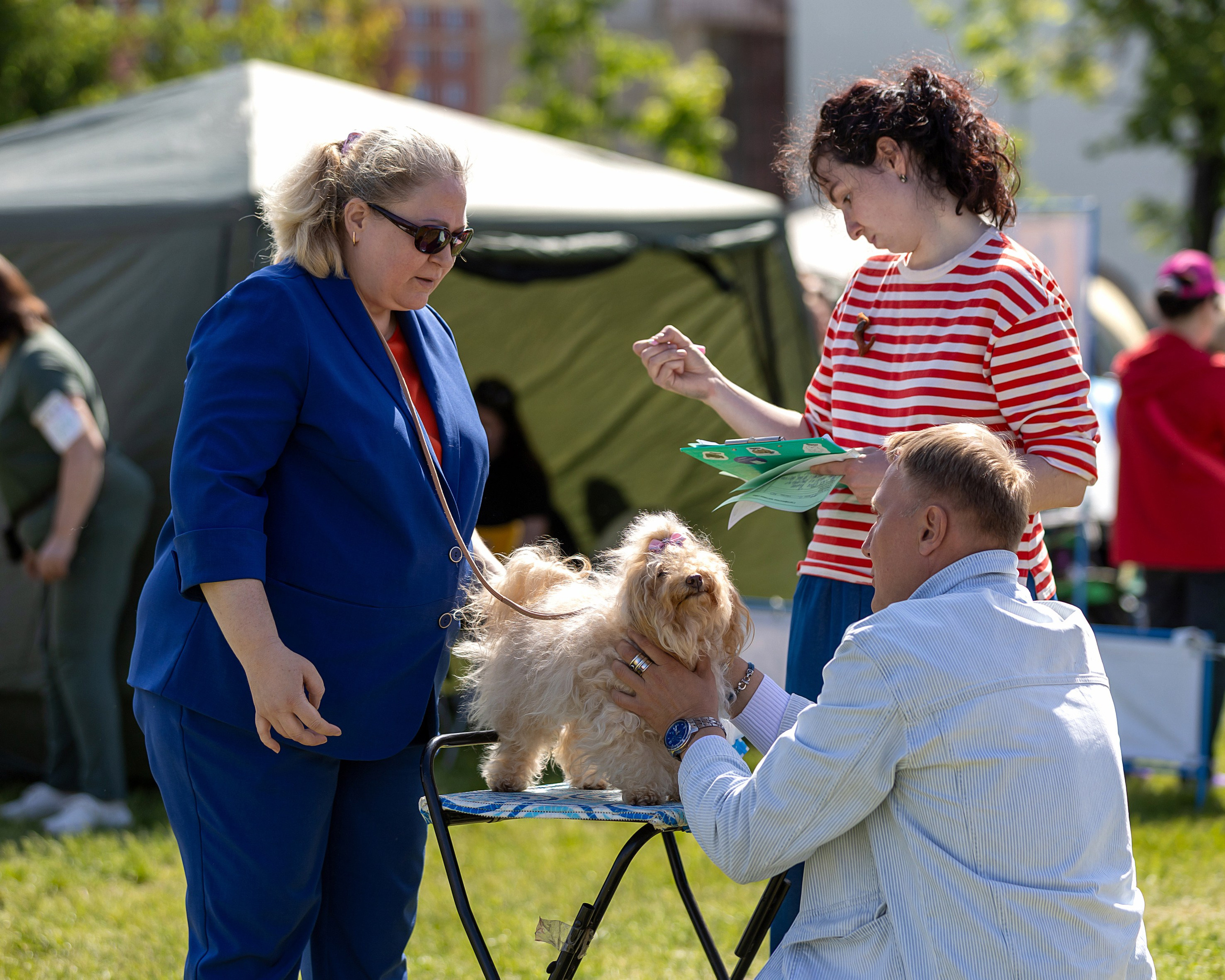 Съемка на выставках. Фотограф-анималист в Санкт-Петербурге — Юлия Чайкина