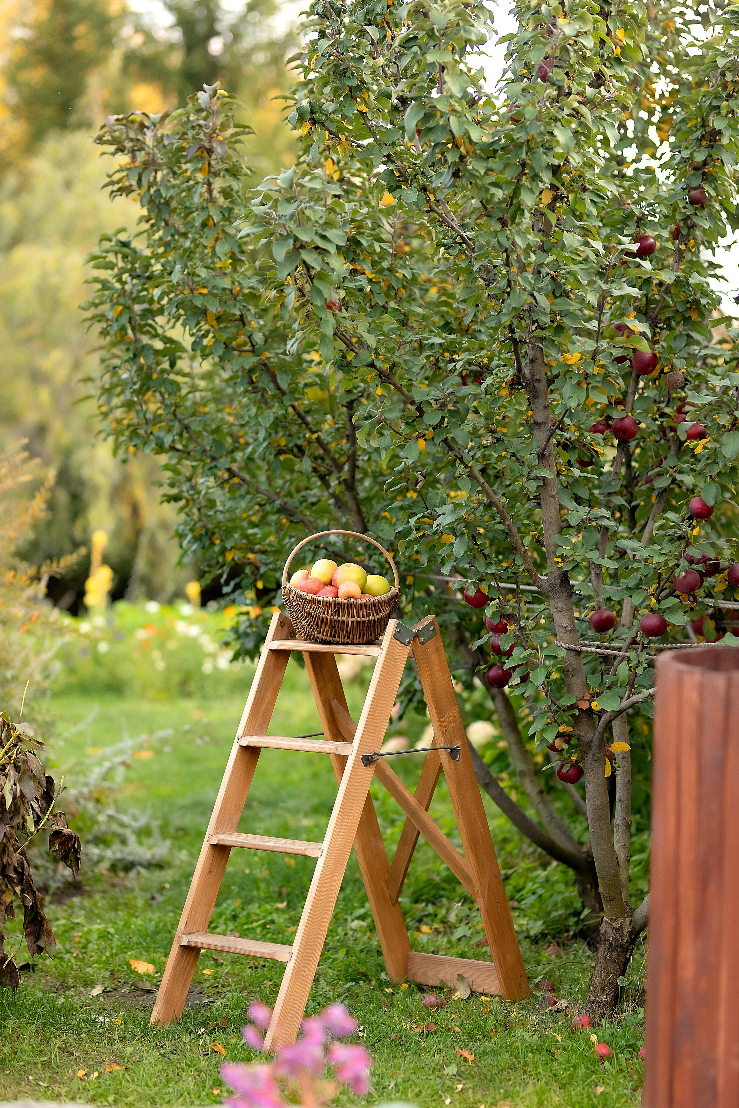 Осенняя фотосессия для Екатерины. Детский и семейный фотограф в Челябинске Мандрикова Светлана