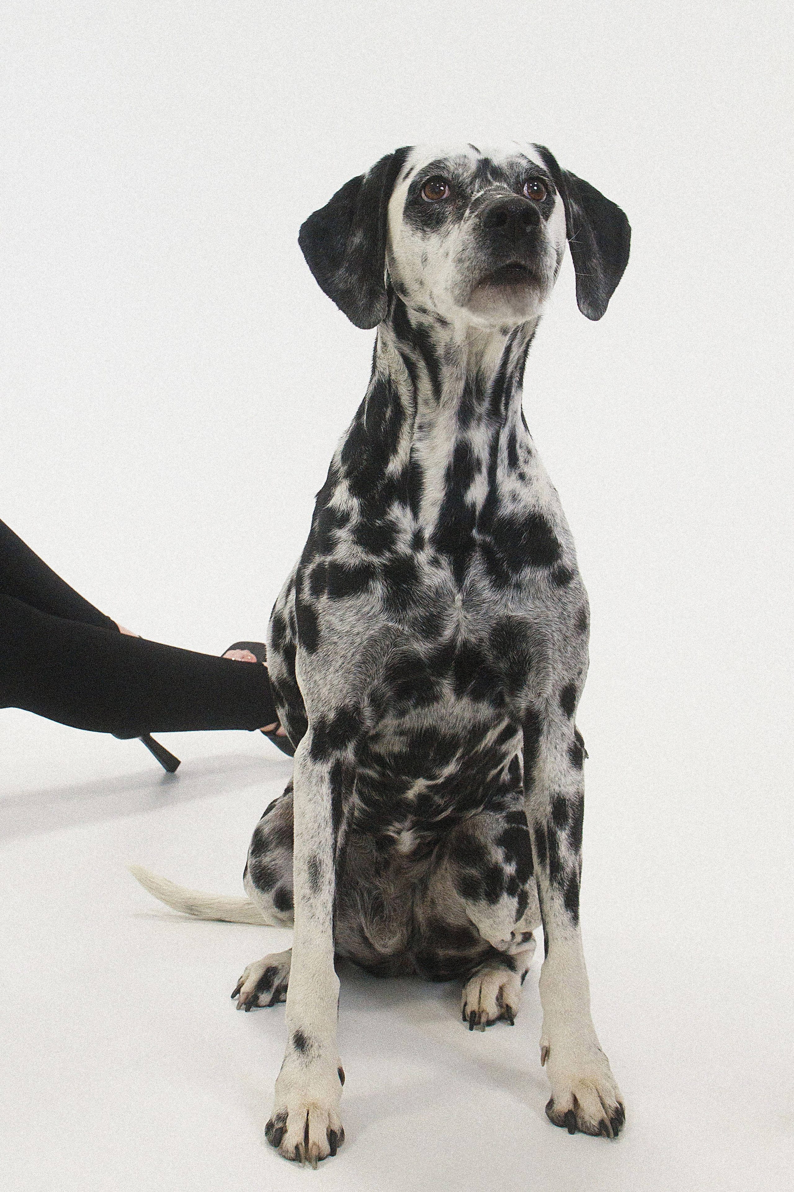 Lookbook. Фотограф и видеограф в Омск/Москва Сащенко Лера