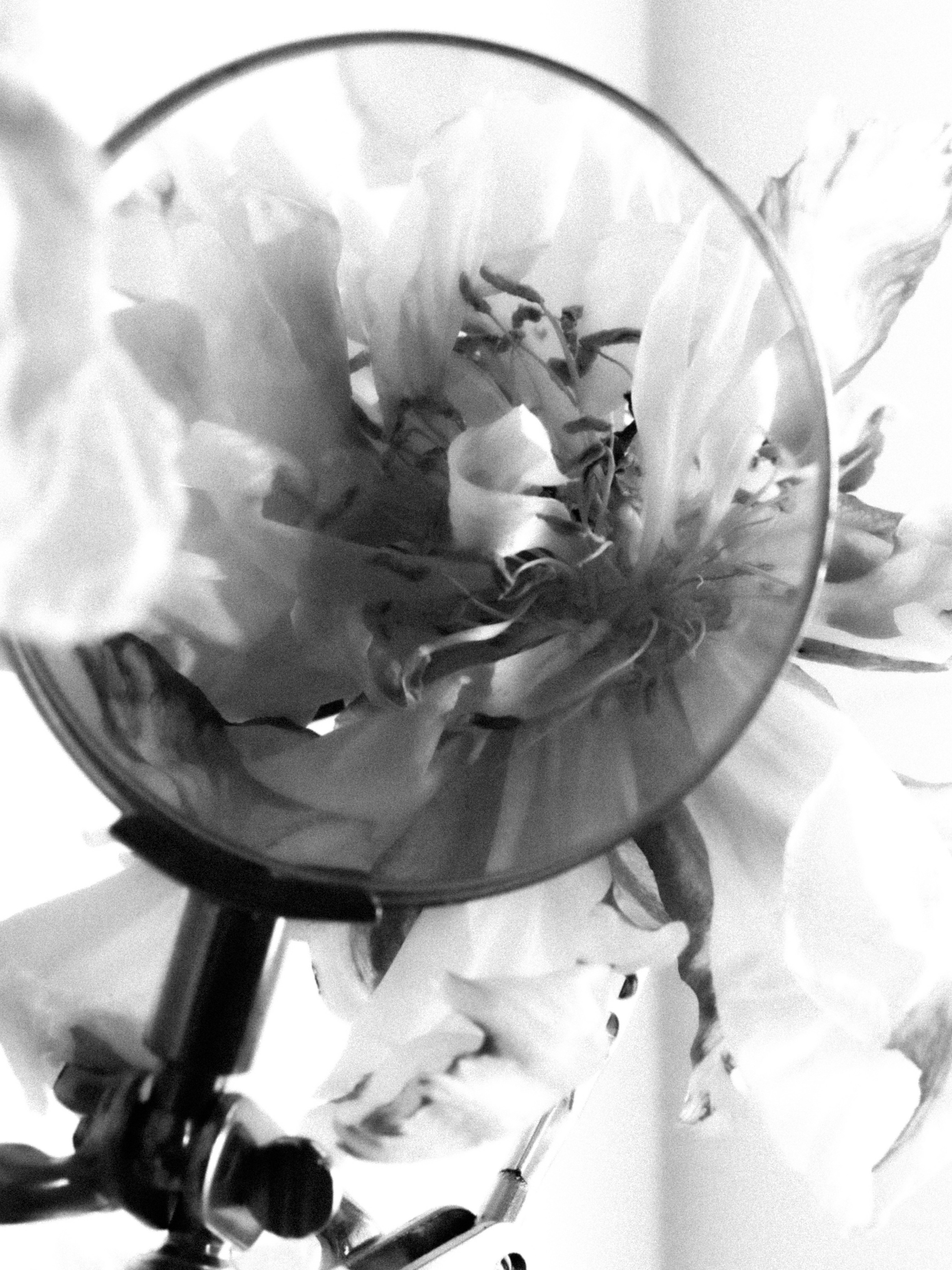 DYING BEAUTY. Фотограф Москва Грошева Софья