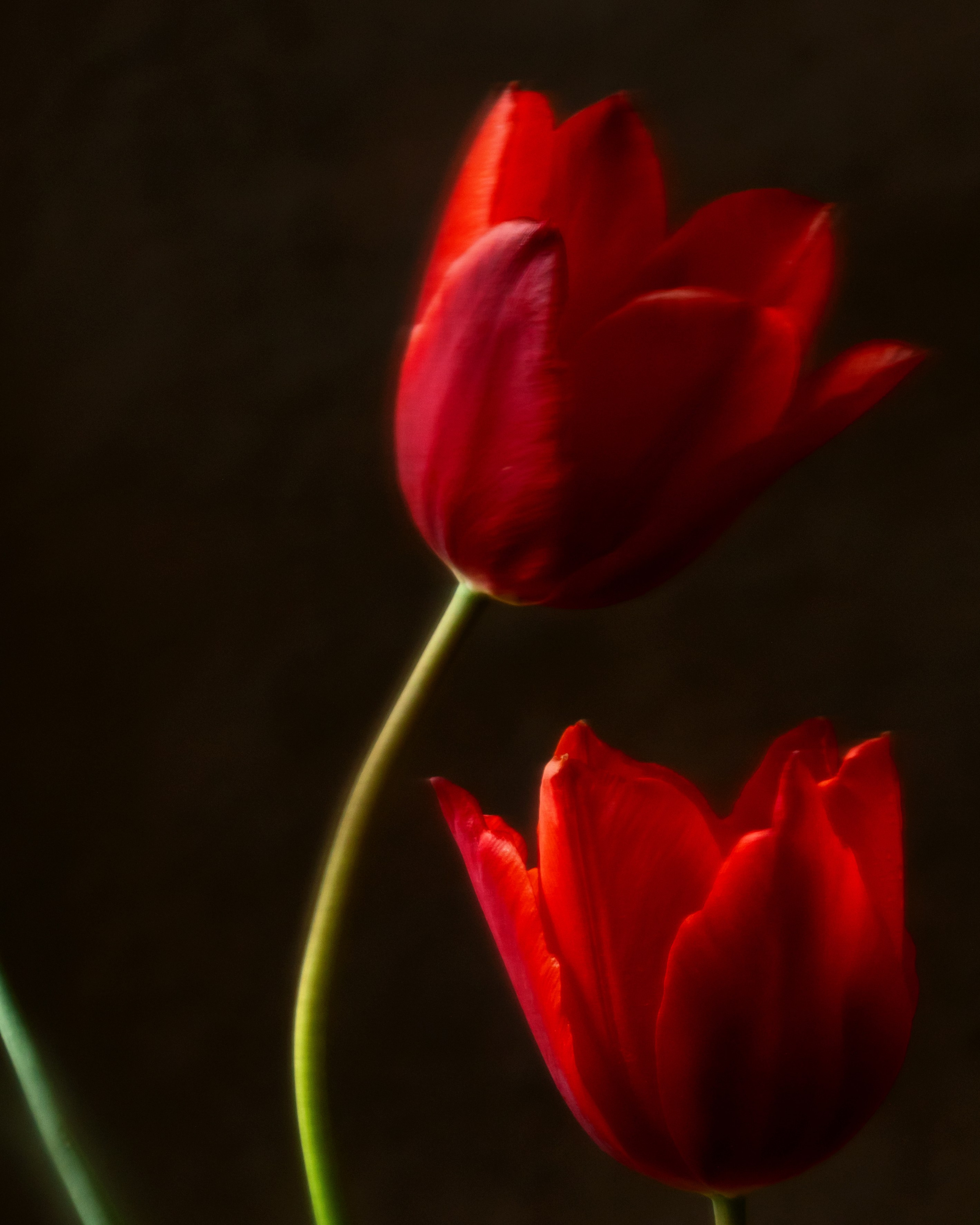 Pas de Trois. Author’s fine art prints with international delivery