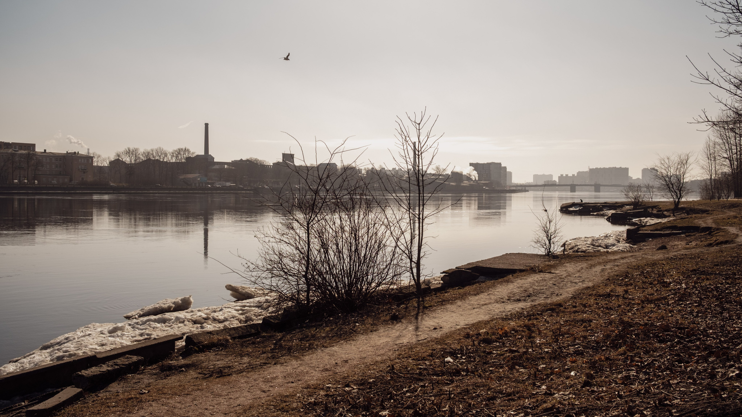 Санкт-Петербург. Фотограф Балаев Михаил