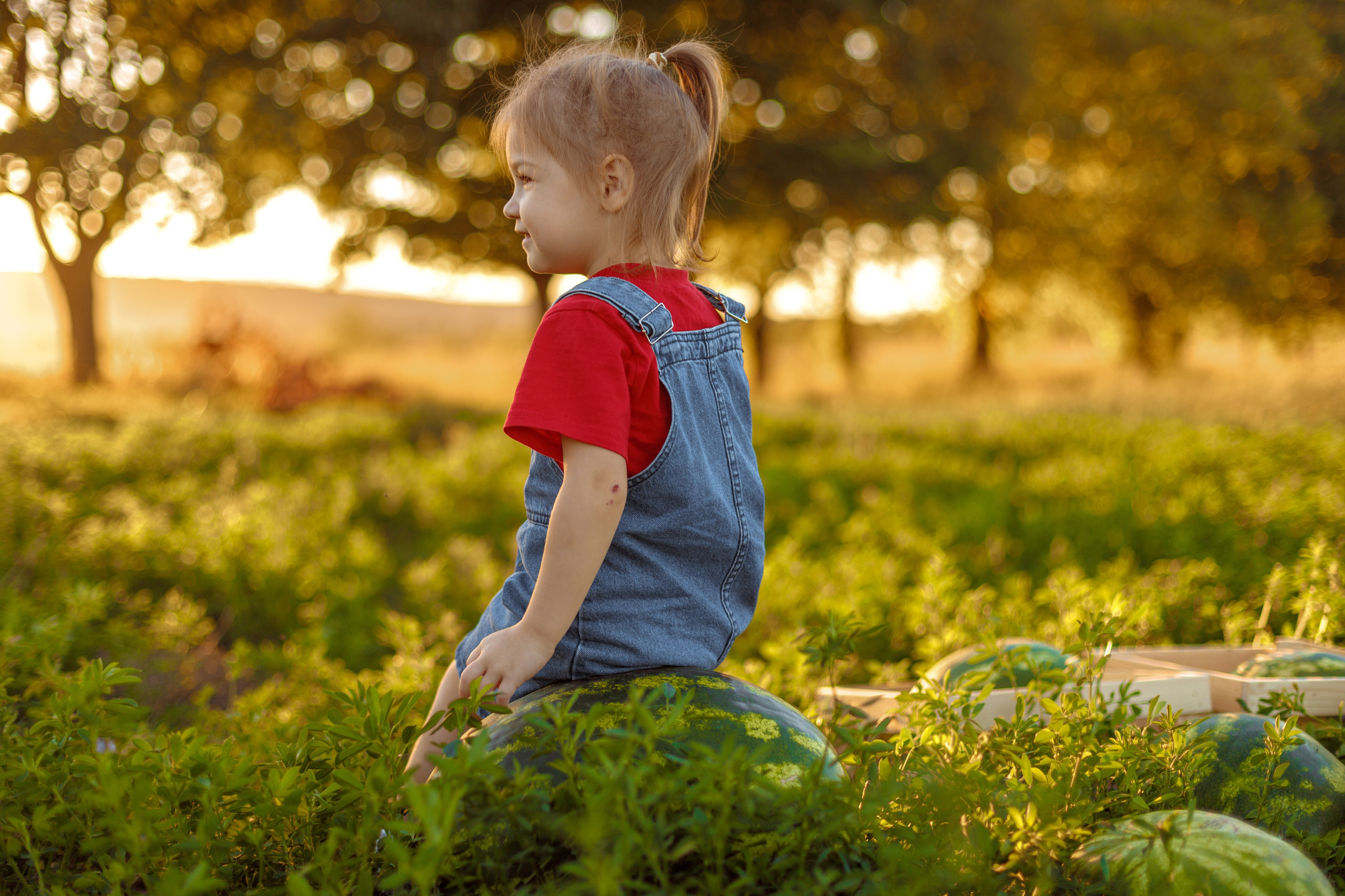АРБУЗЫ. Семейный и детский фотограф в Крыму Екатерина Швец
