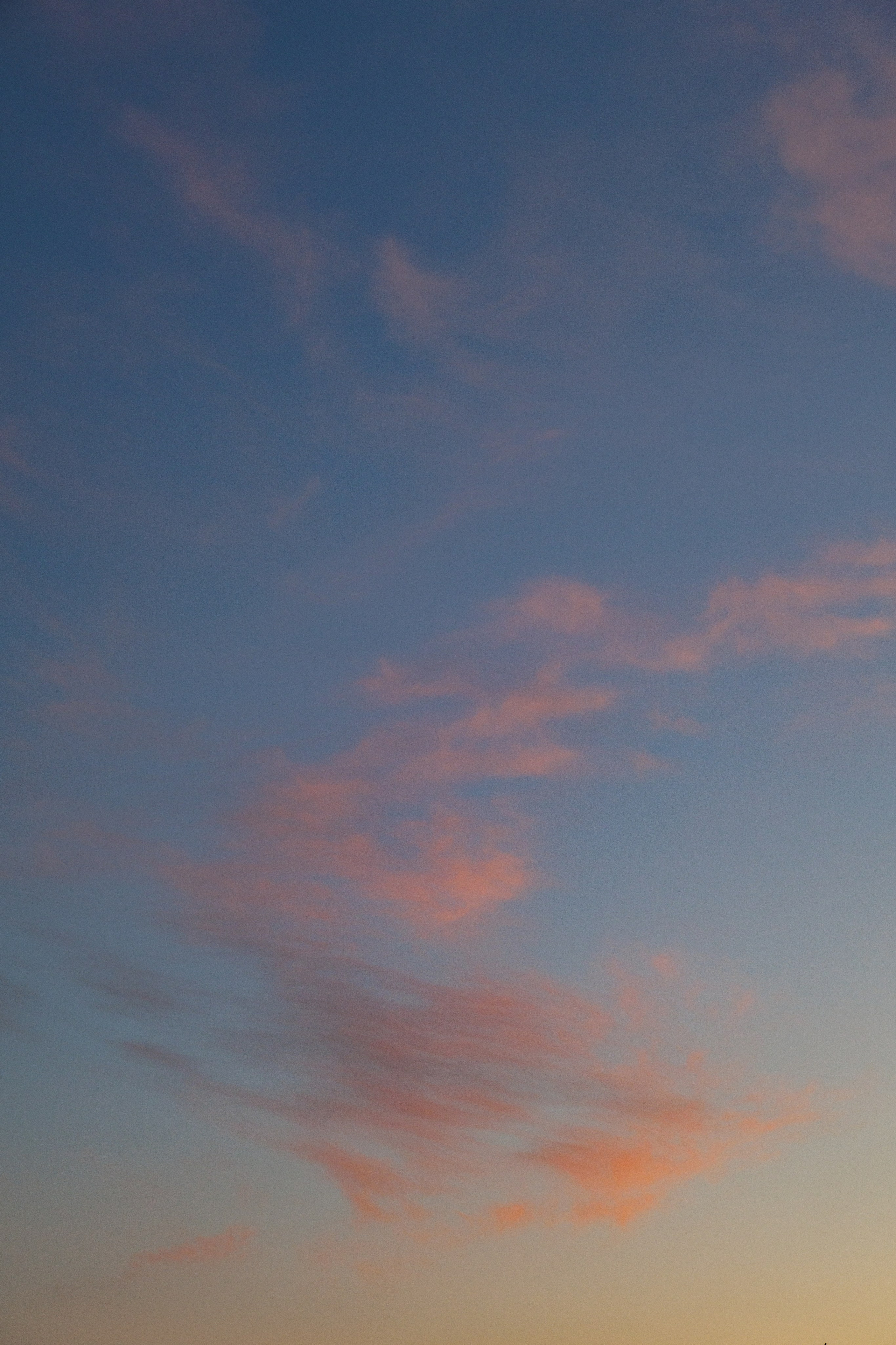 Ира / начало