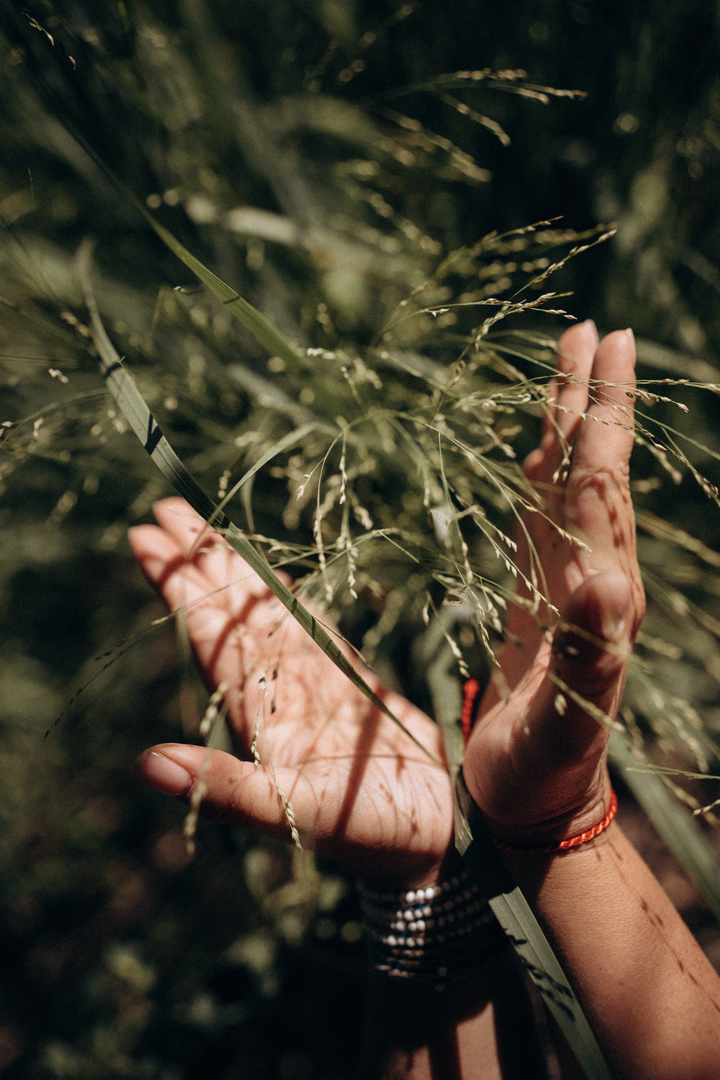 Вика. Дмитриева Светлана женский и семейный фотограф Рига, Москва, Геленджик