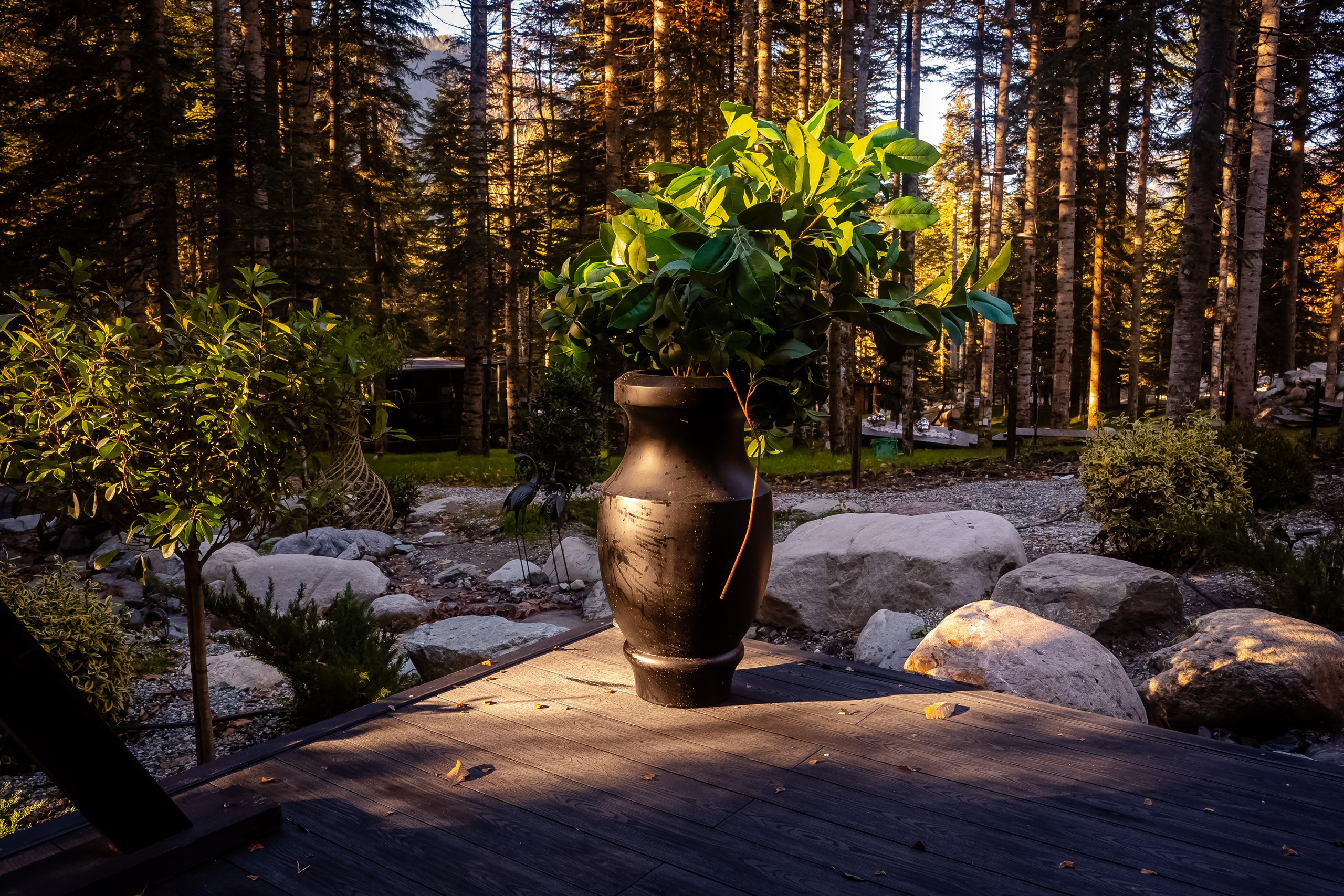 Интерьерная съёмка. Фото и видео съёмка для Бизнеса и Event