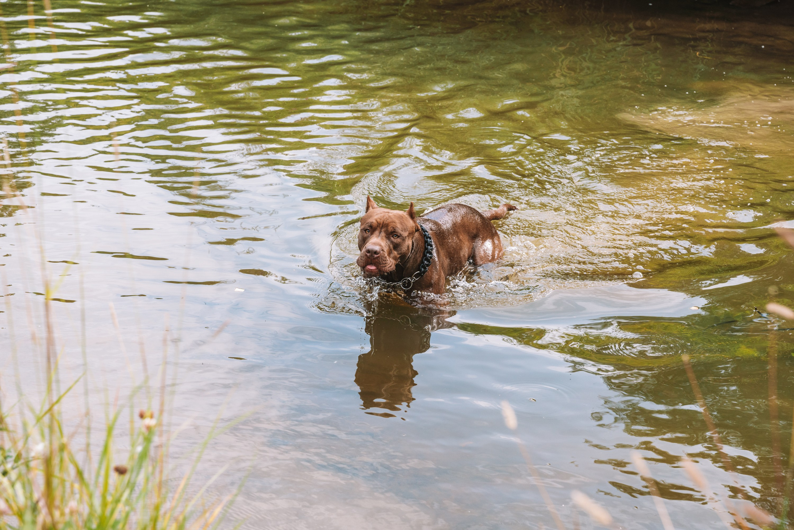 Лав стори фотограф Санкт-Петербург. Свадебный, семейный, портретный, репортажный фотограф в Санкт-Петербурге